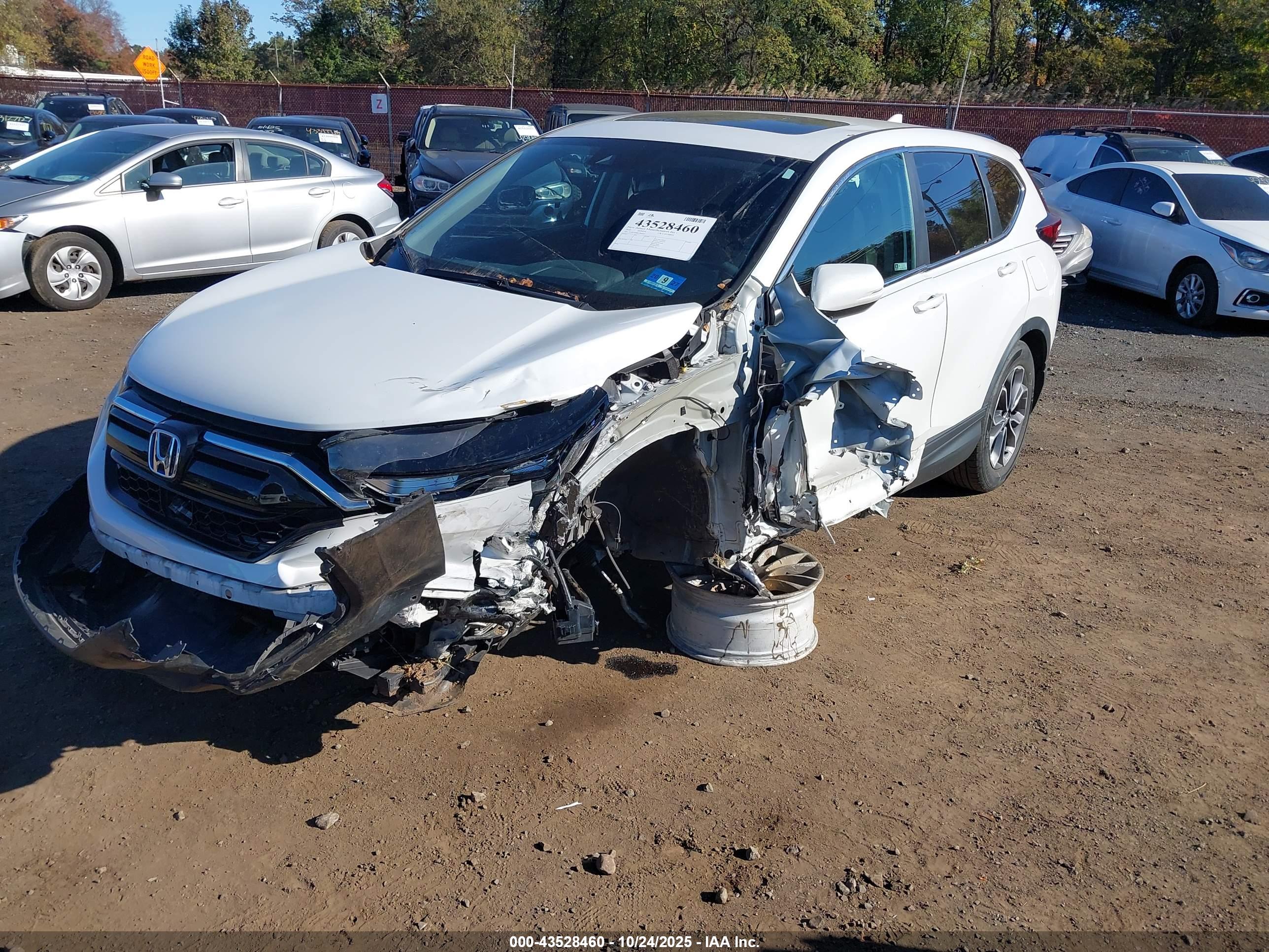 HONDA CR-V image 6