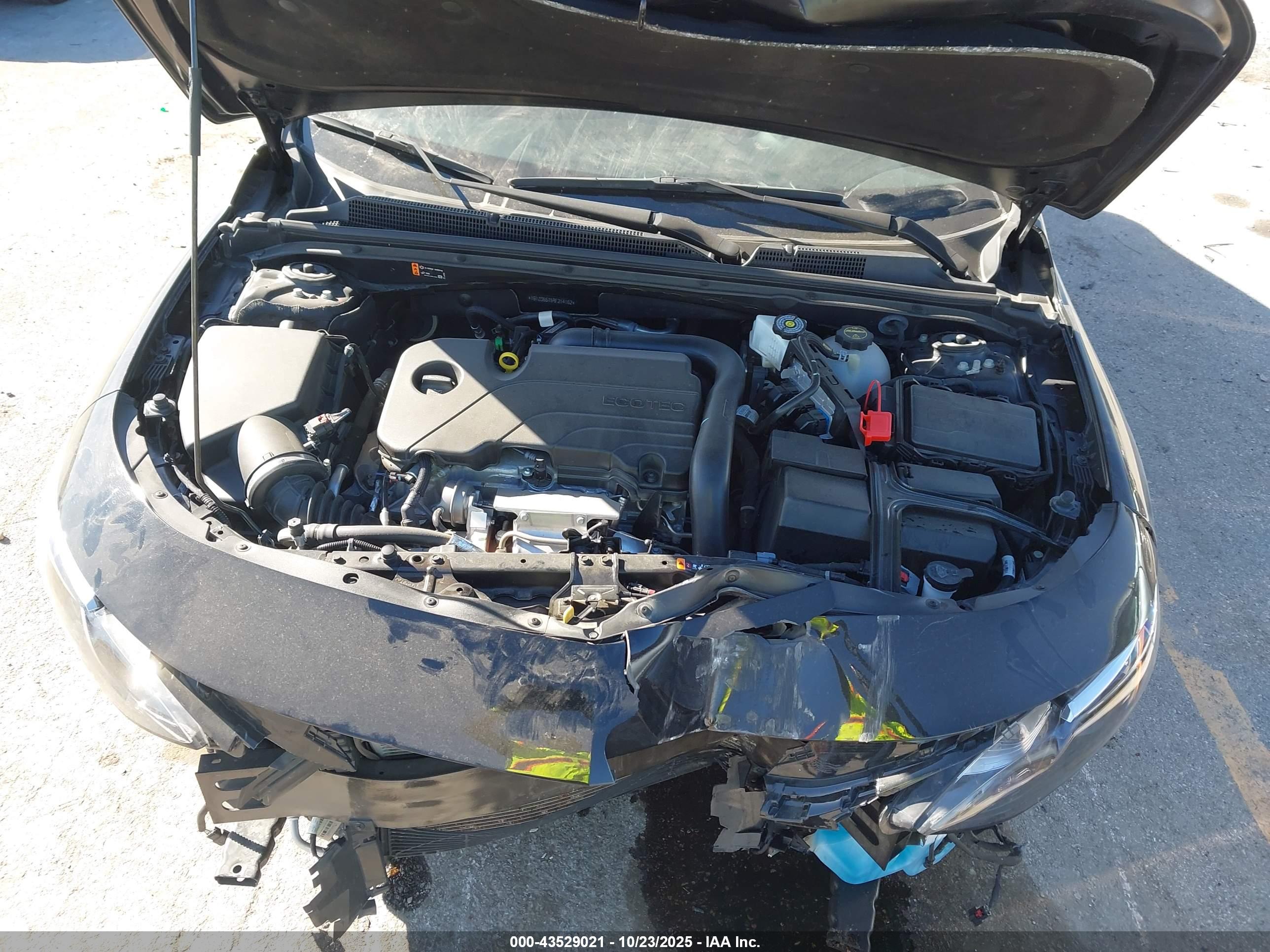CHEVROLET MALIBU image 10