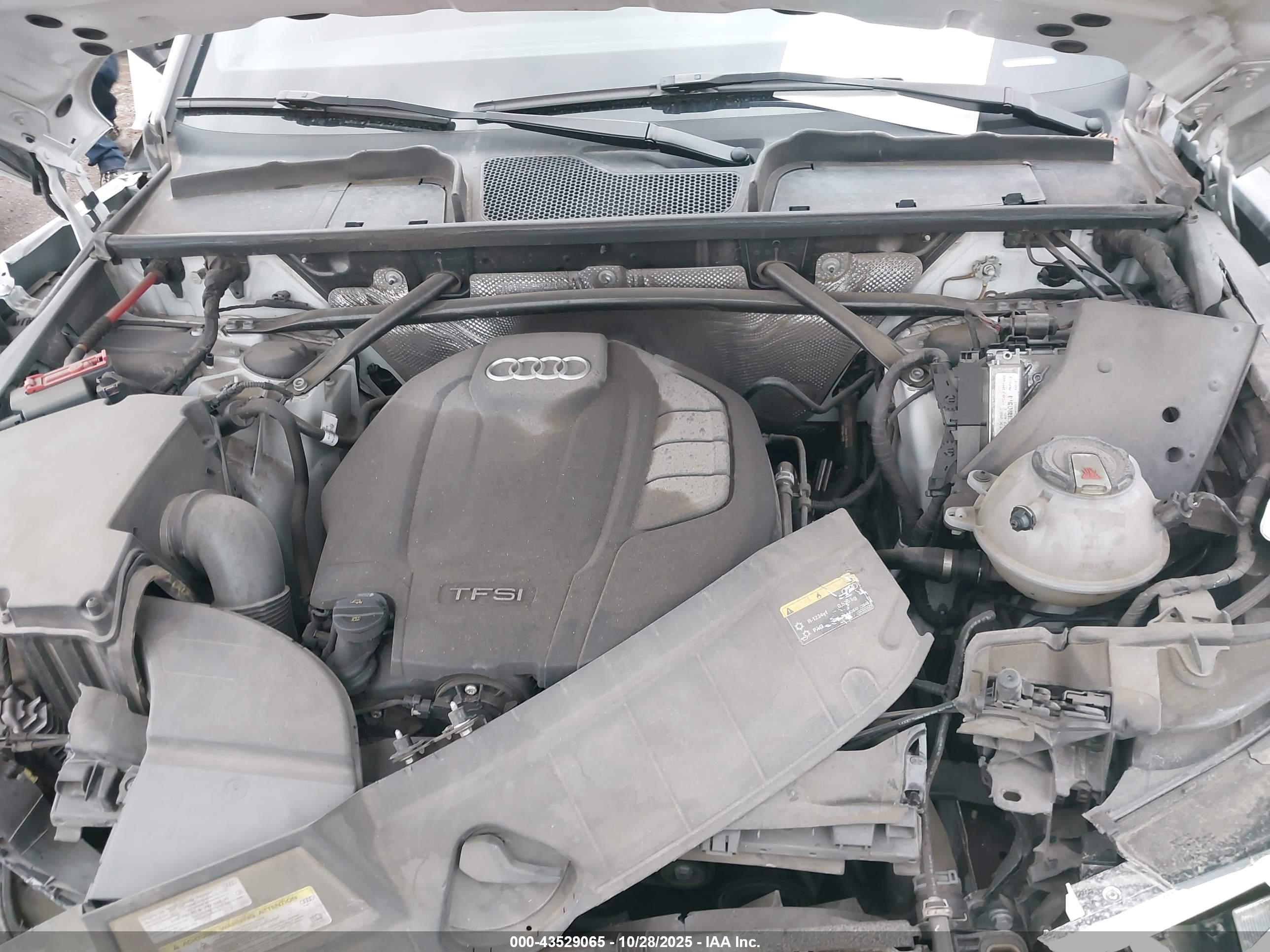 AUDI Q5 image 10