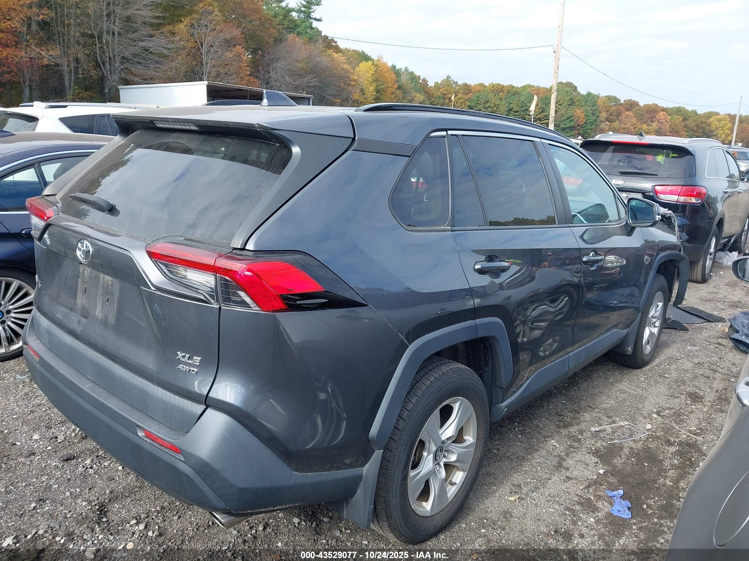 TOYOTA RAV4 image 4