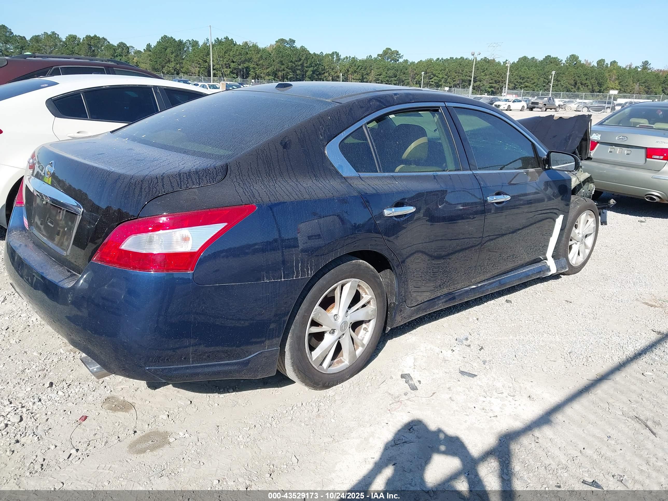 NISSAN MAXIMA image 4
