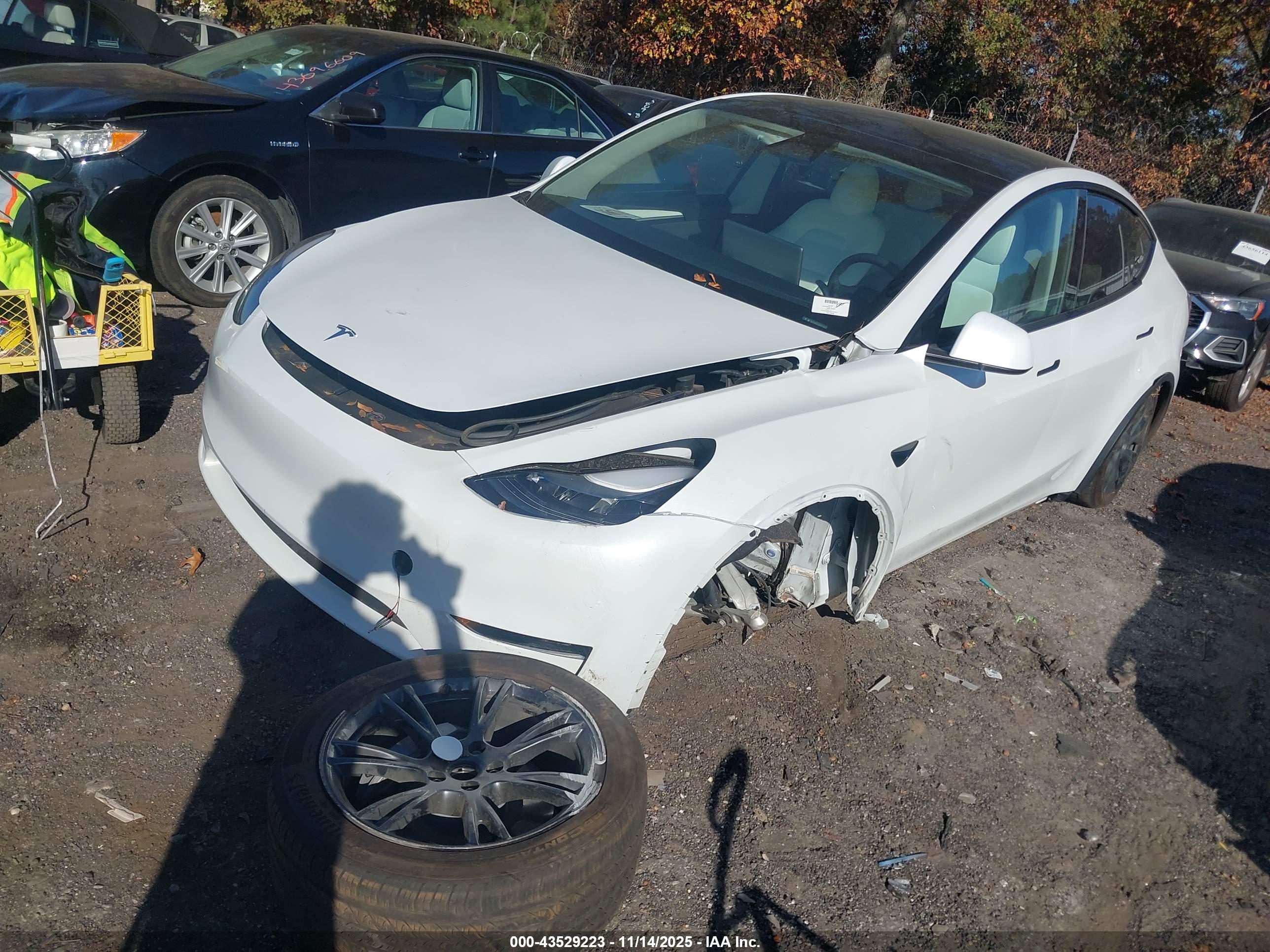 TESLA MODEL image 2