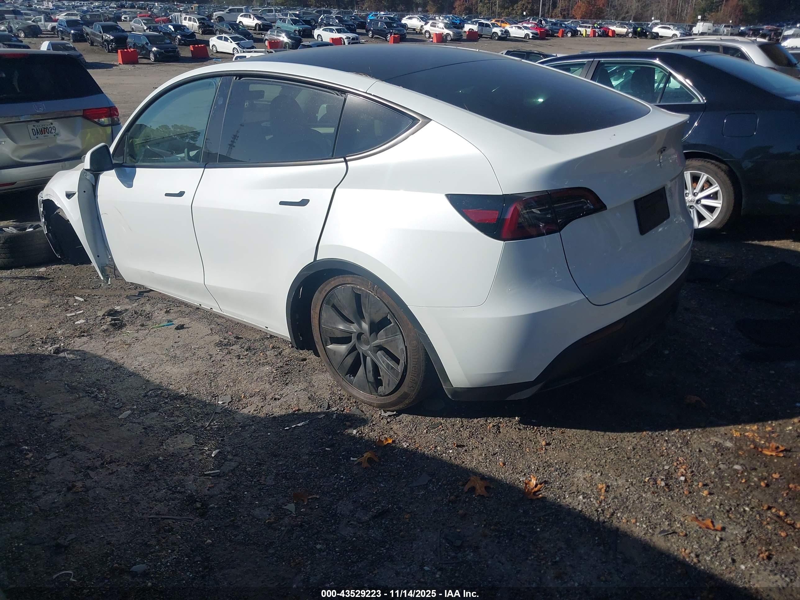 TESLA MODEL image 3
