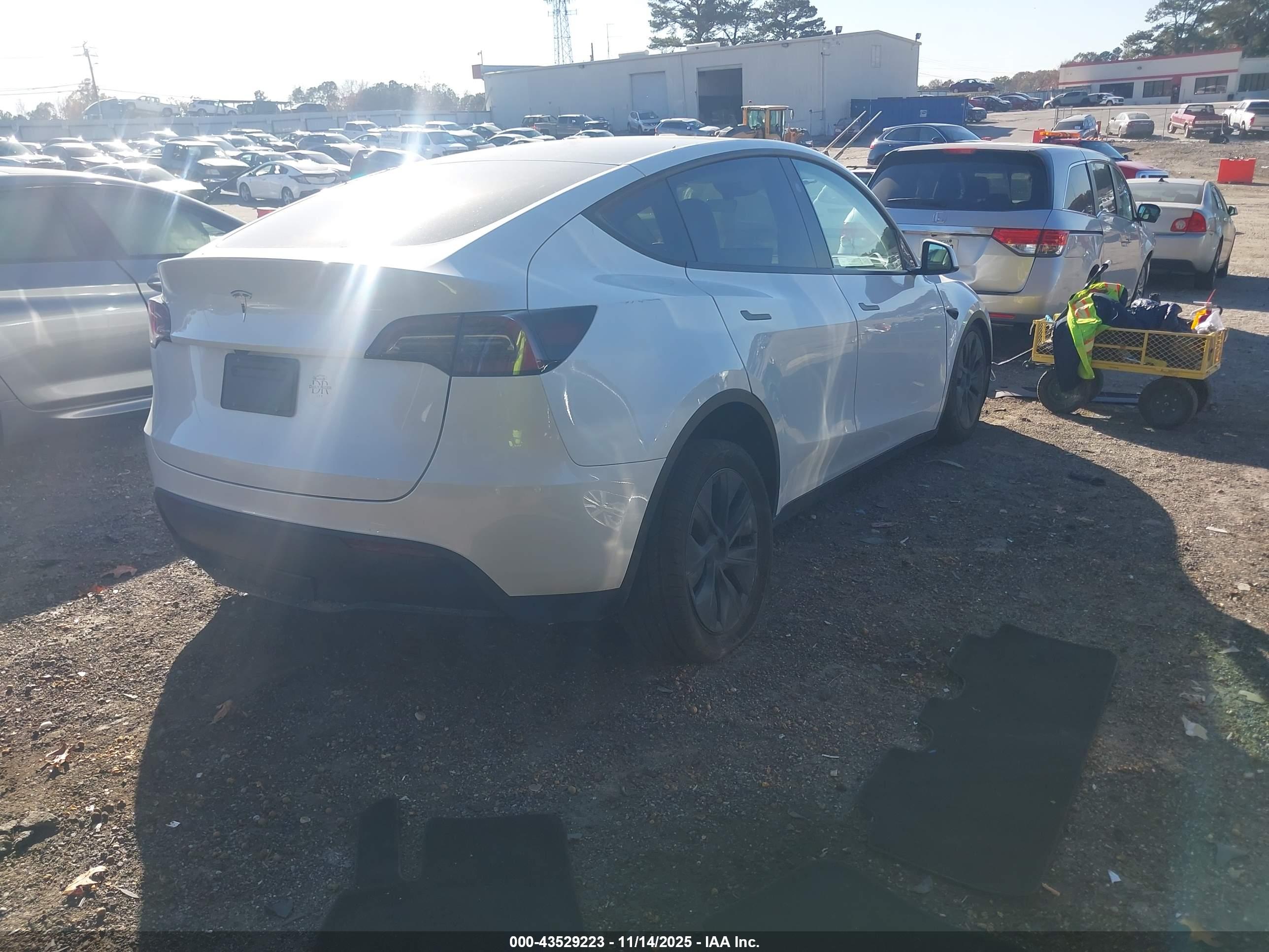 TESLA MODEL image 4
