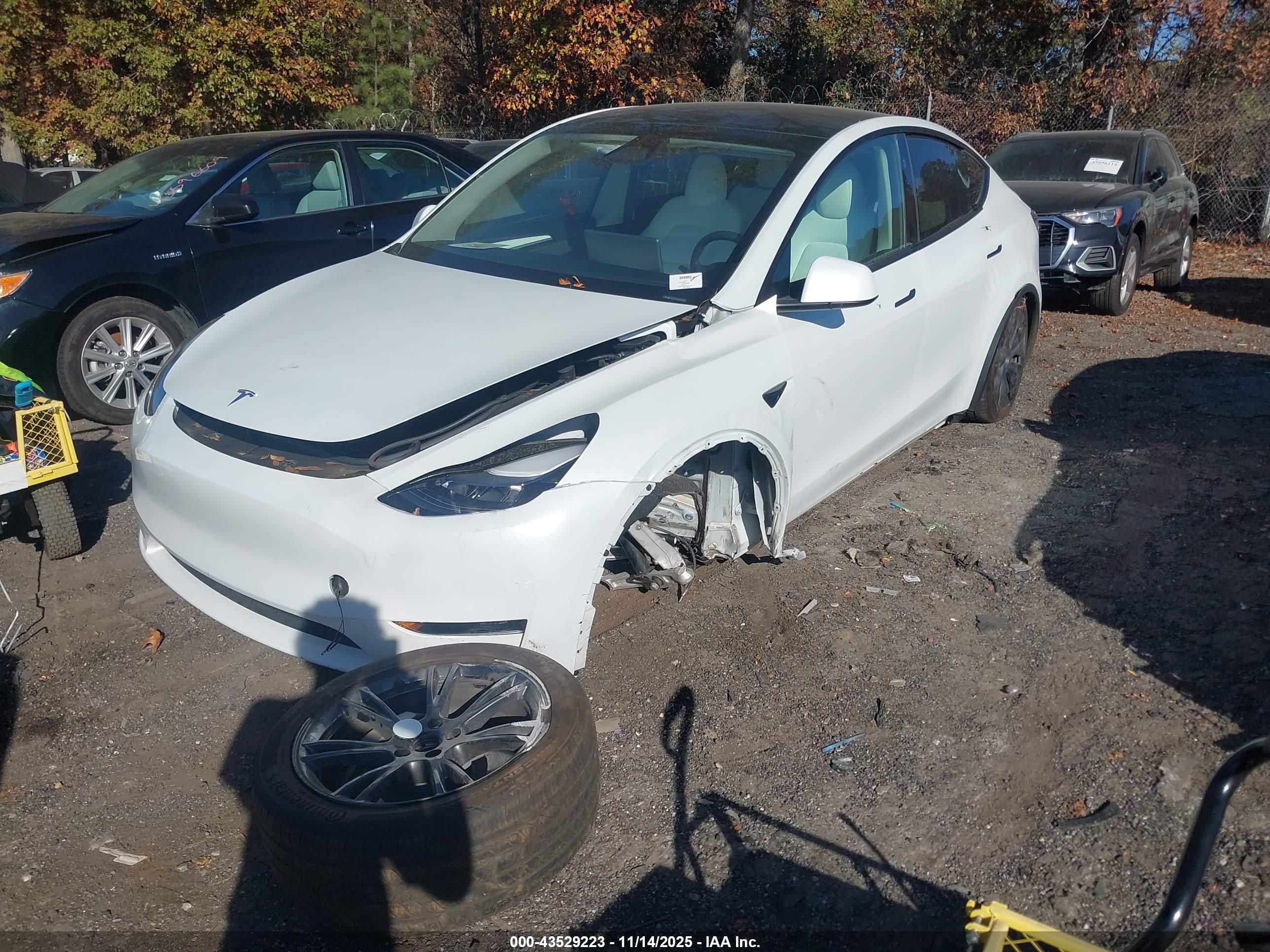 TESLA MODEL image 6