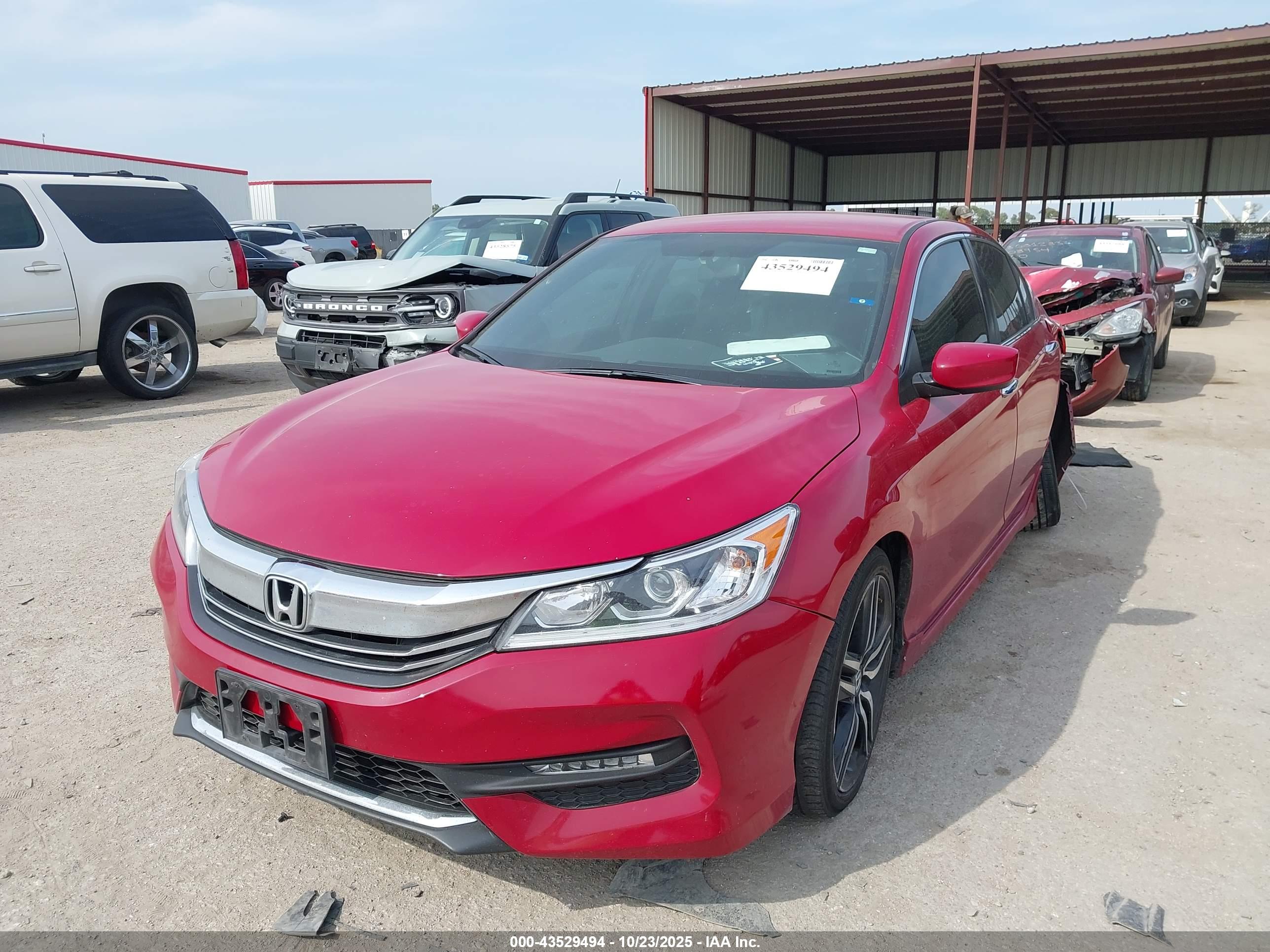 HONDA ACCORD image 2