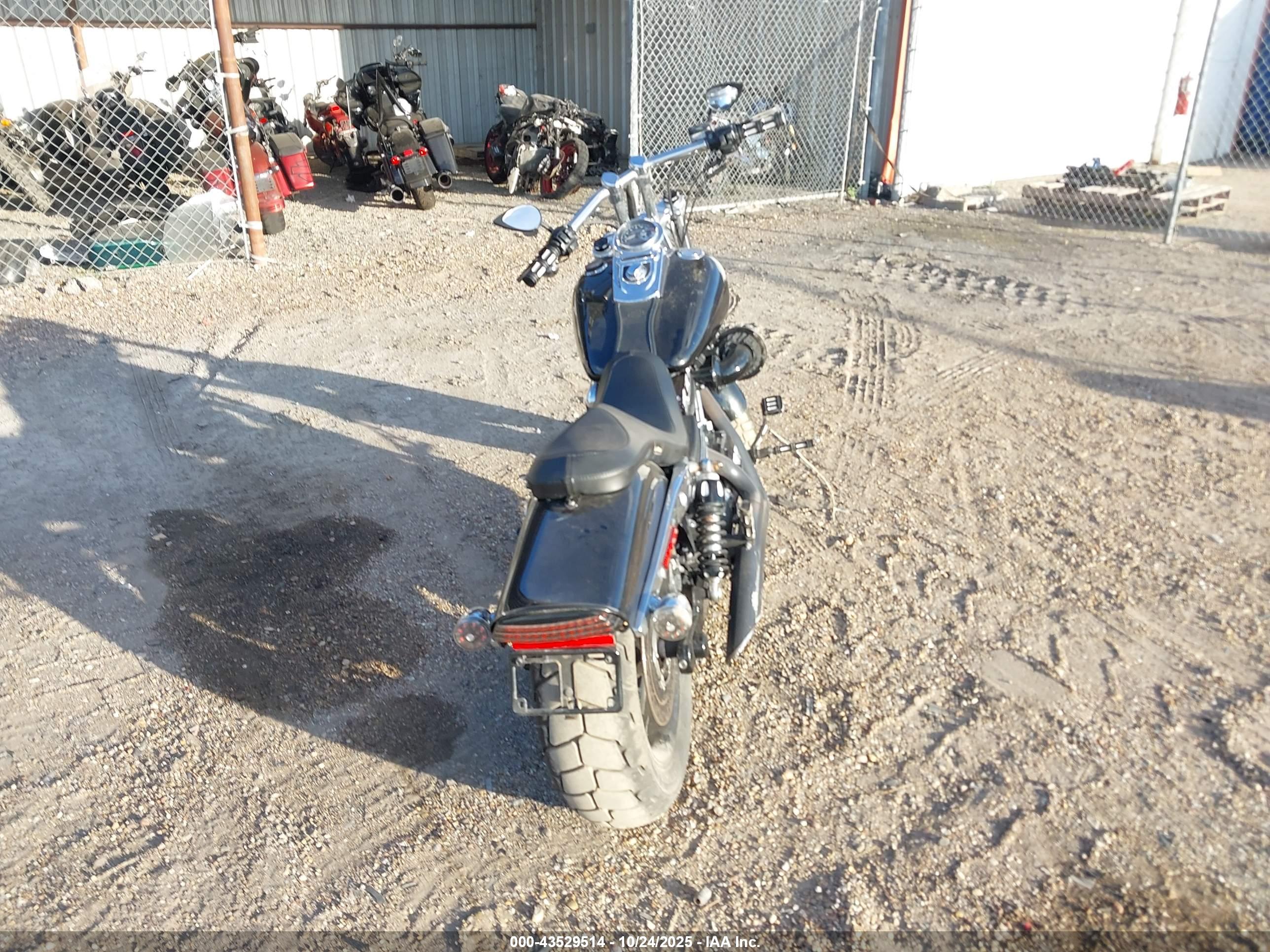 HARLEY-DAVIDSON FXDF image 6