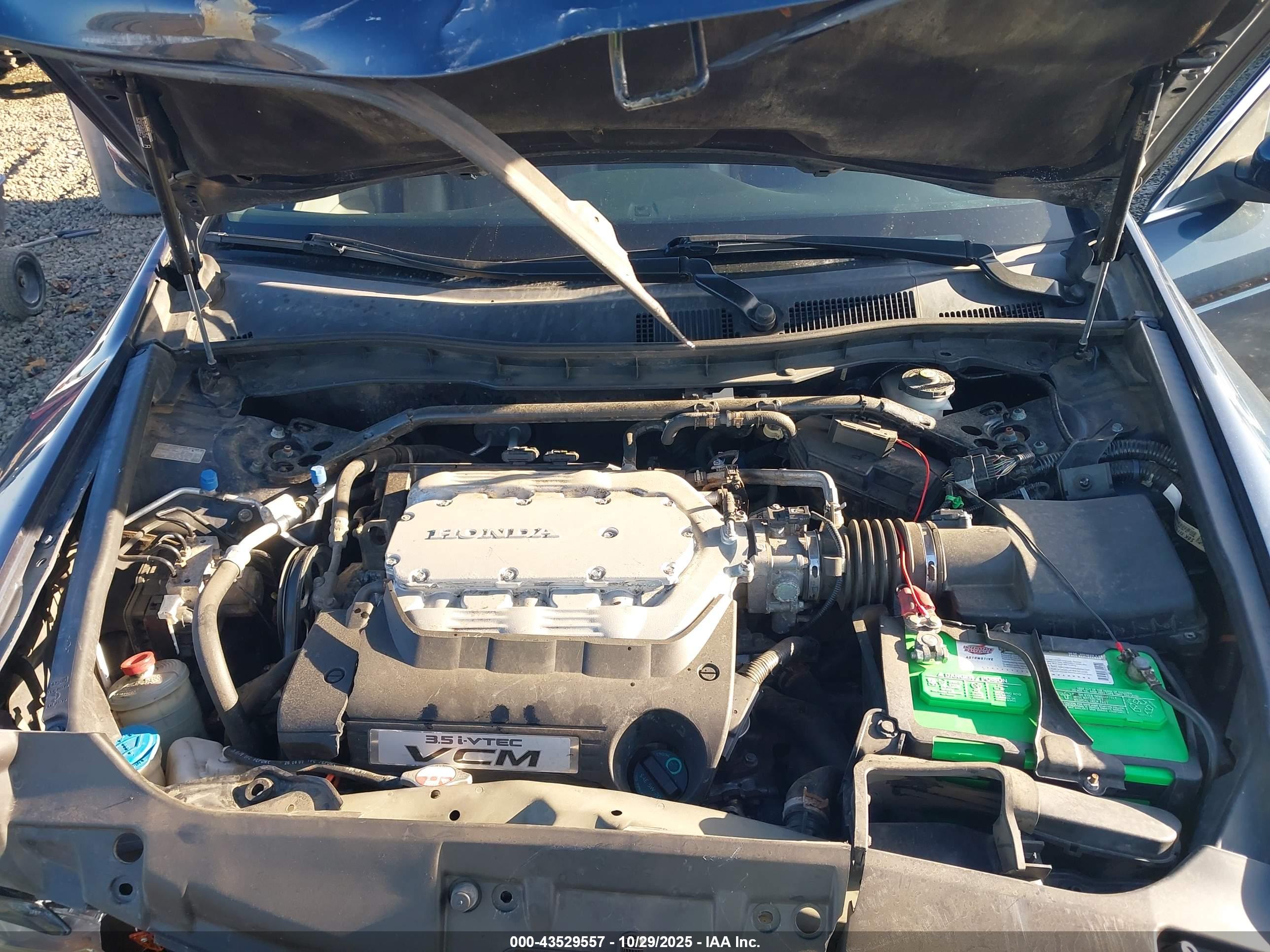 HONDA ACCORD image 10