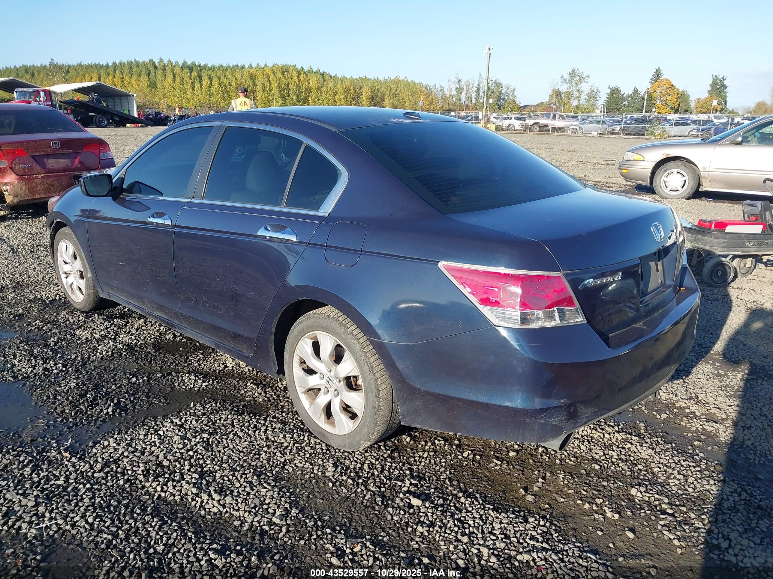 HONDA ACCORD image 3
