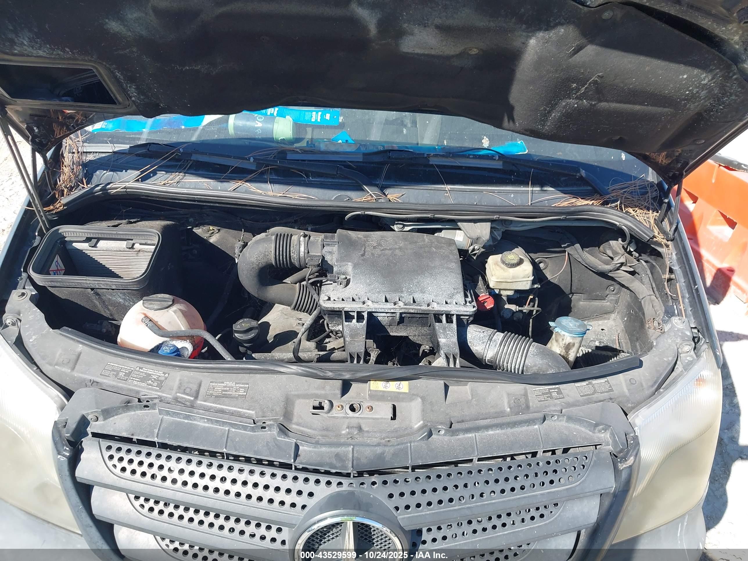 MERCEDES-BENZ SPRINTER image 10