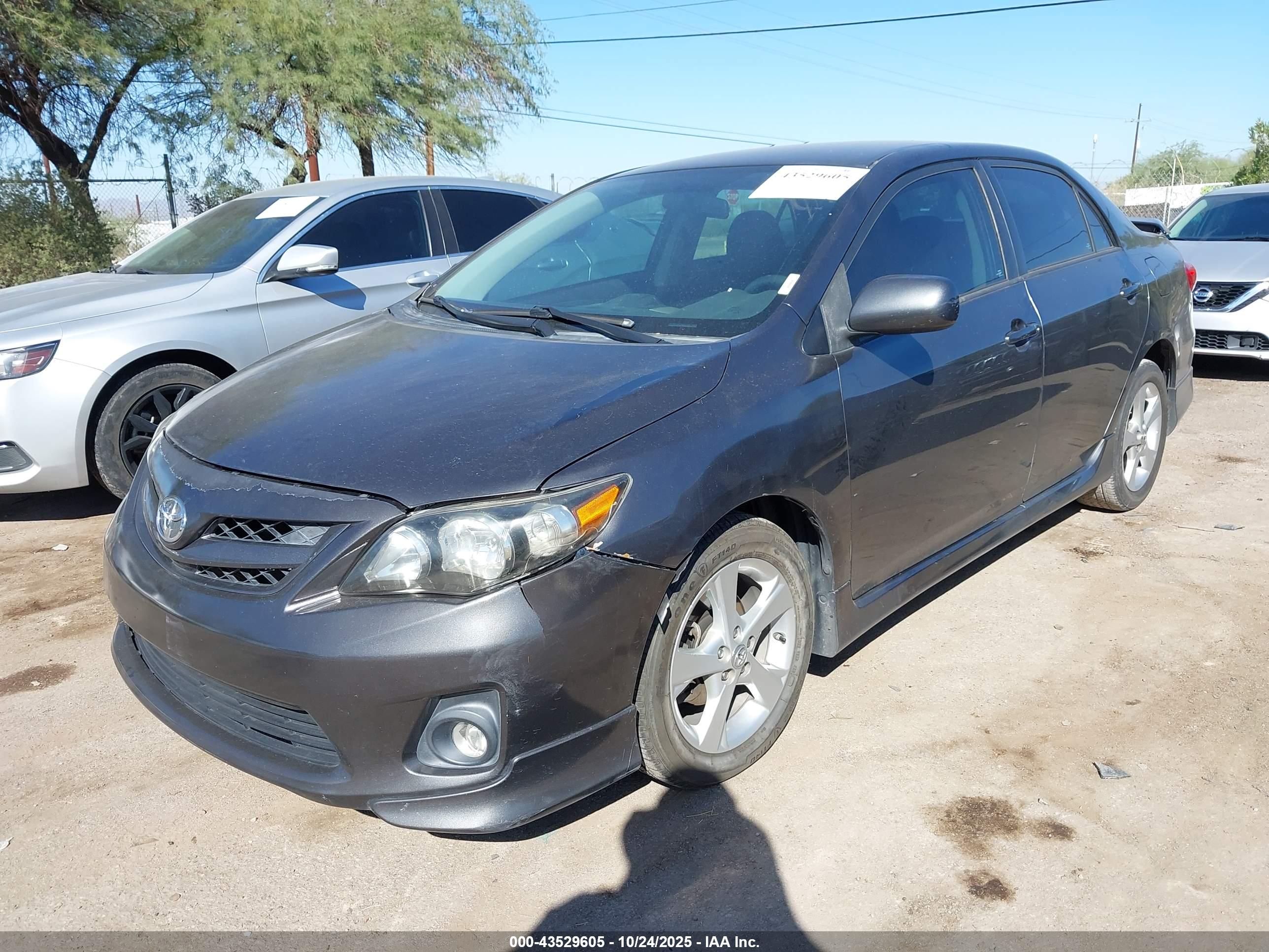 TOYOTA COROLLA image 6