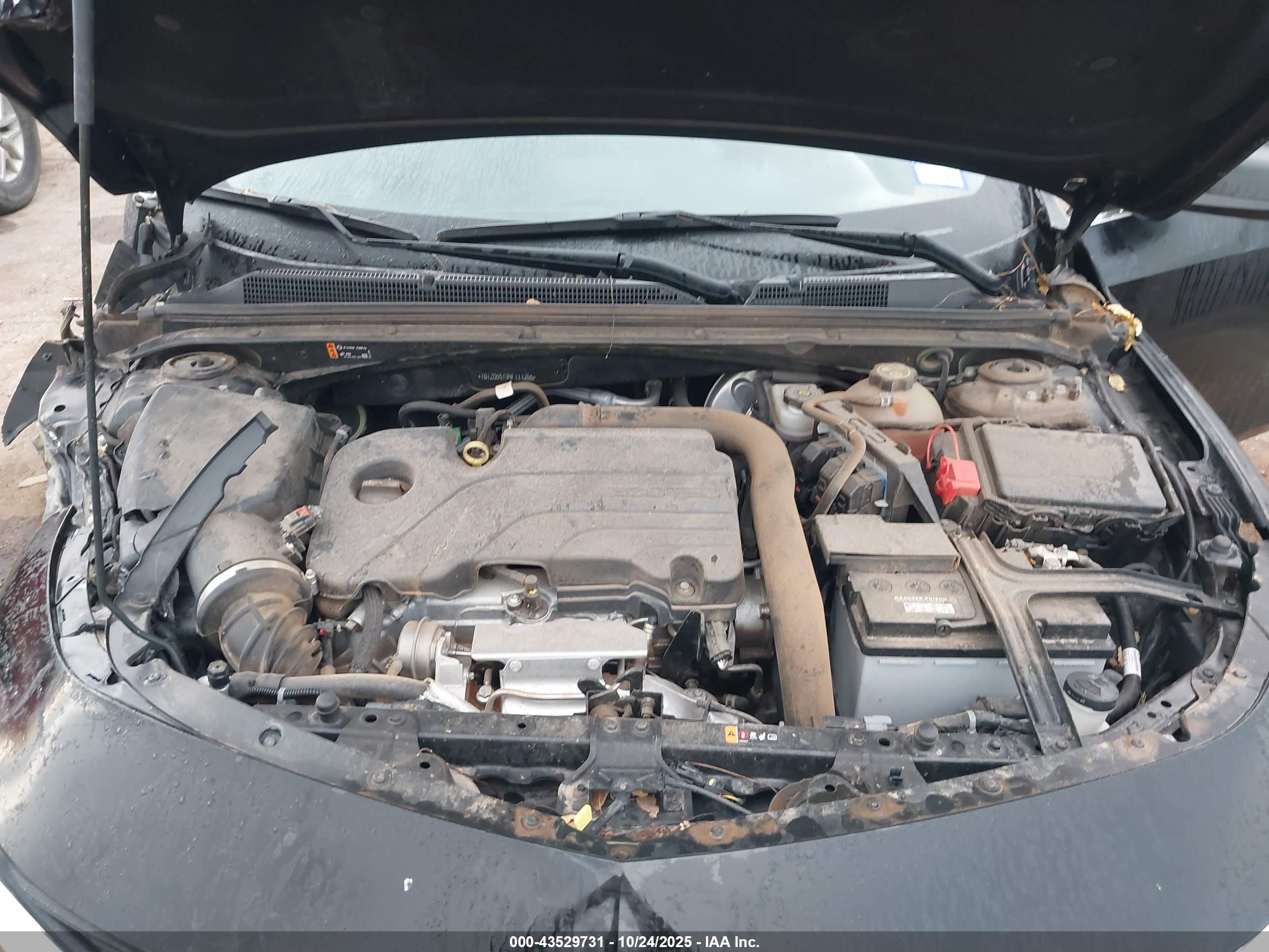 CHEVROLET MALIBU image 10