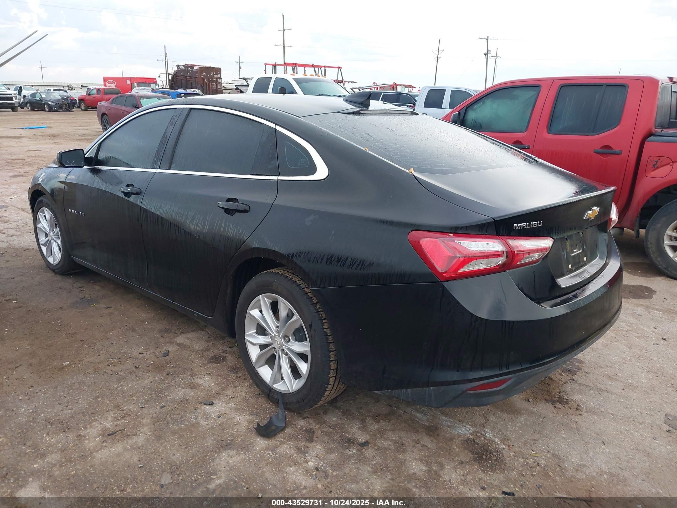 CHEVROLET MALIBU image 3