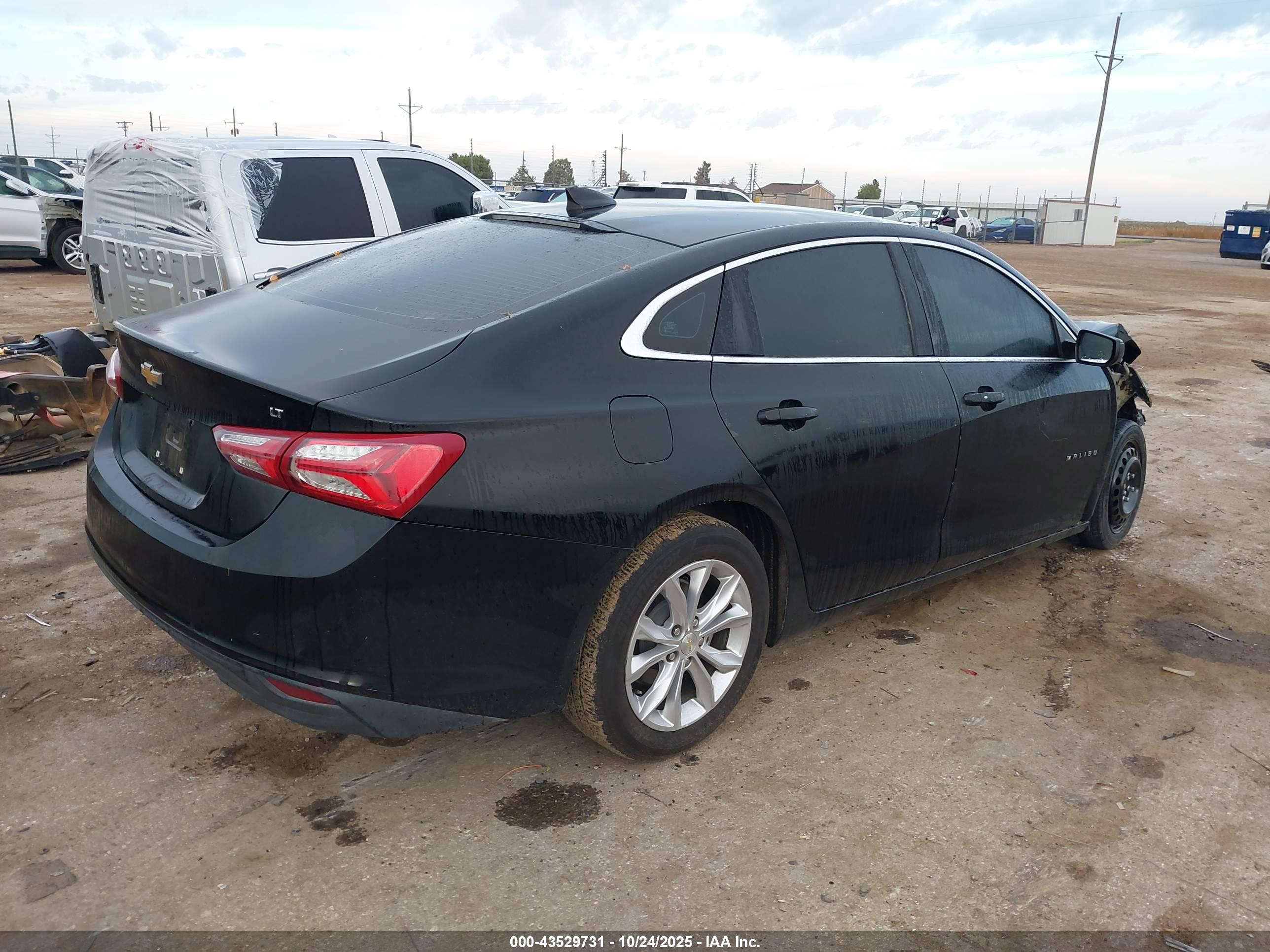 CHEVROLET MALIBU image 4