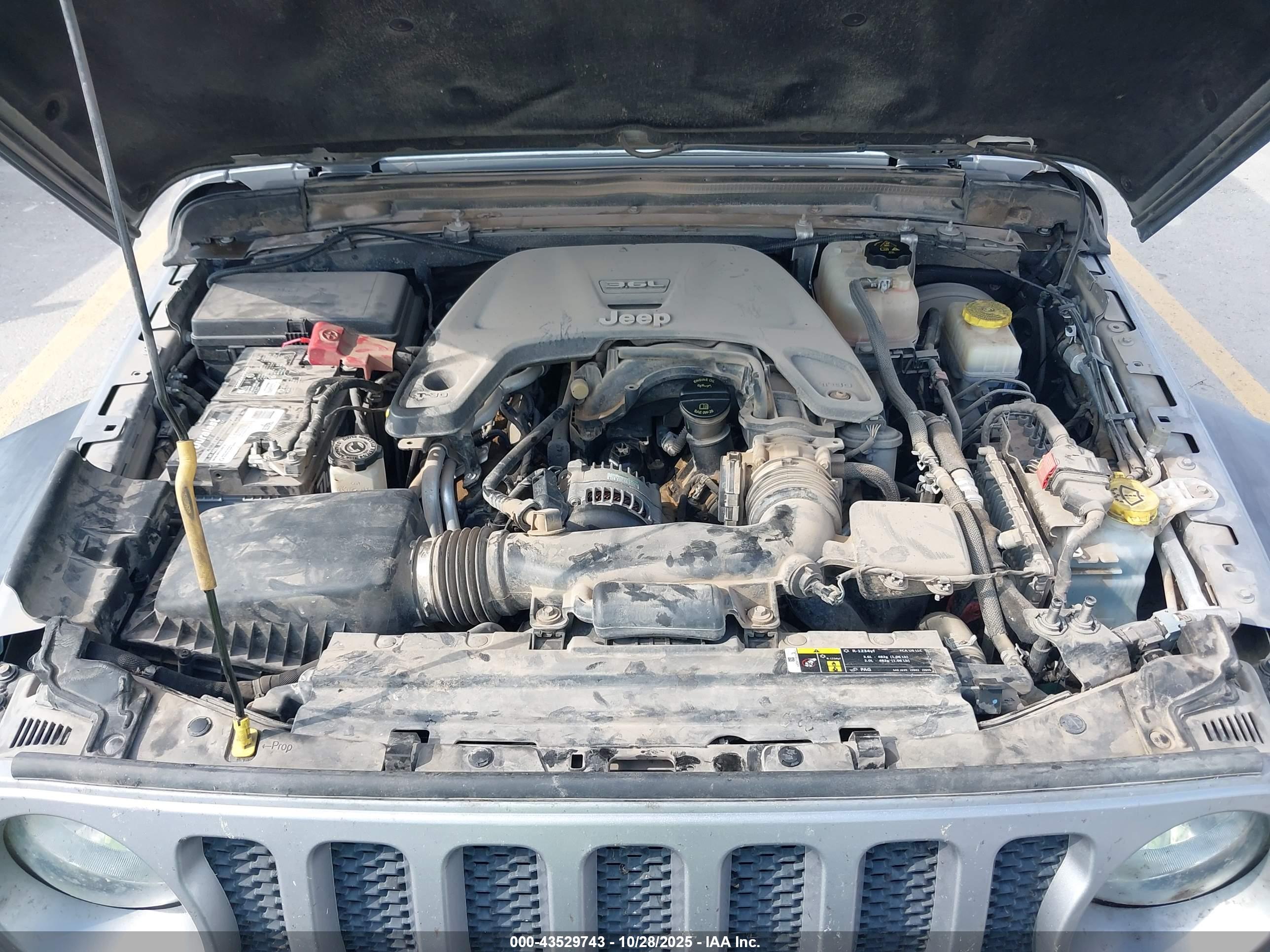 JEEP WRANGLER image 10