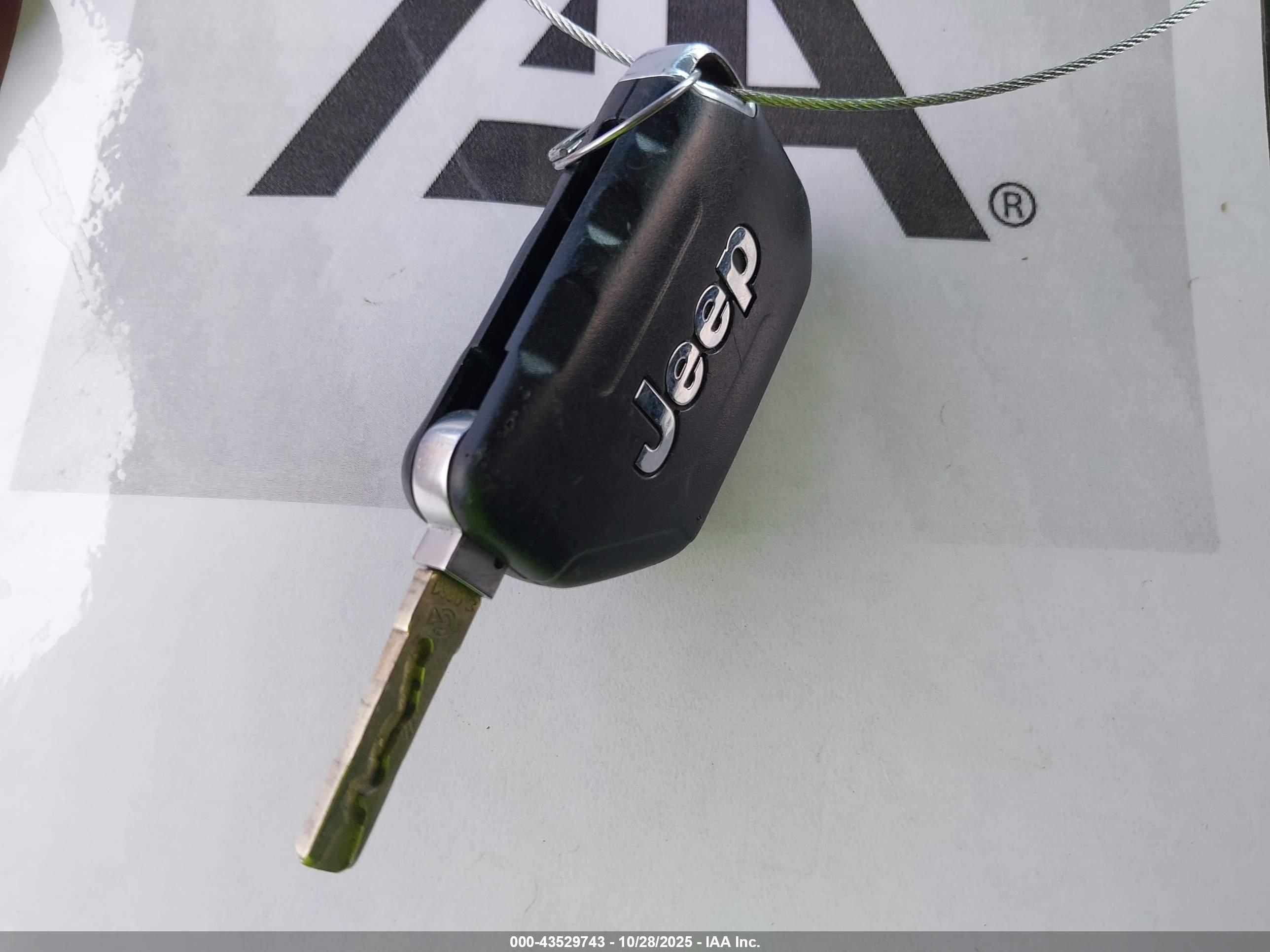 JEEP WRANGLER image 11