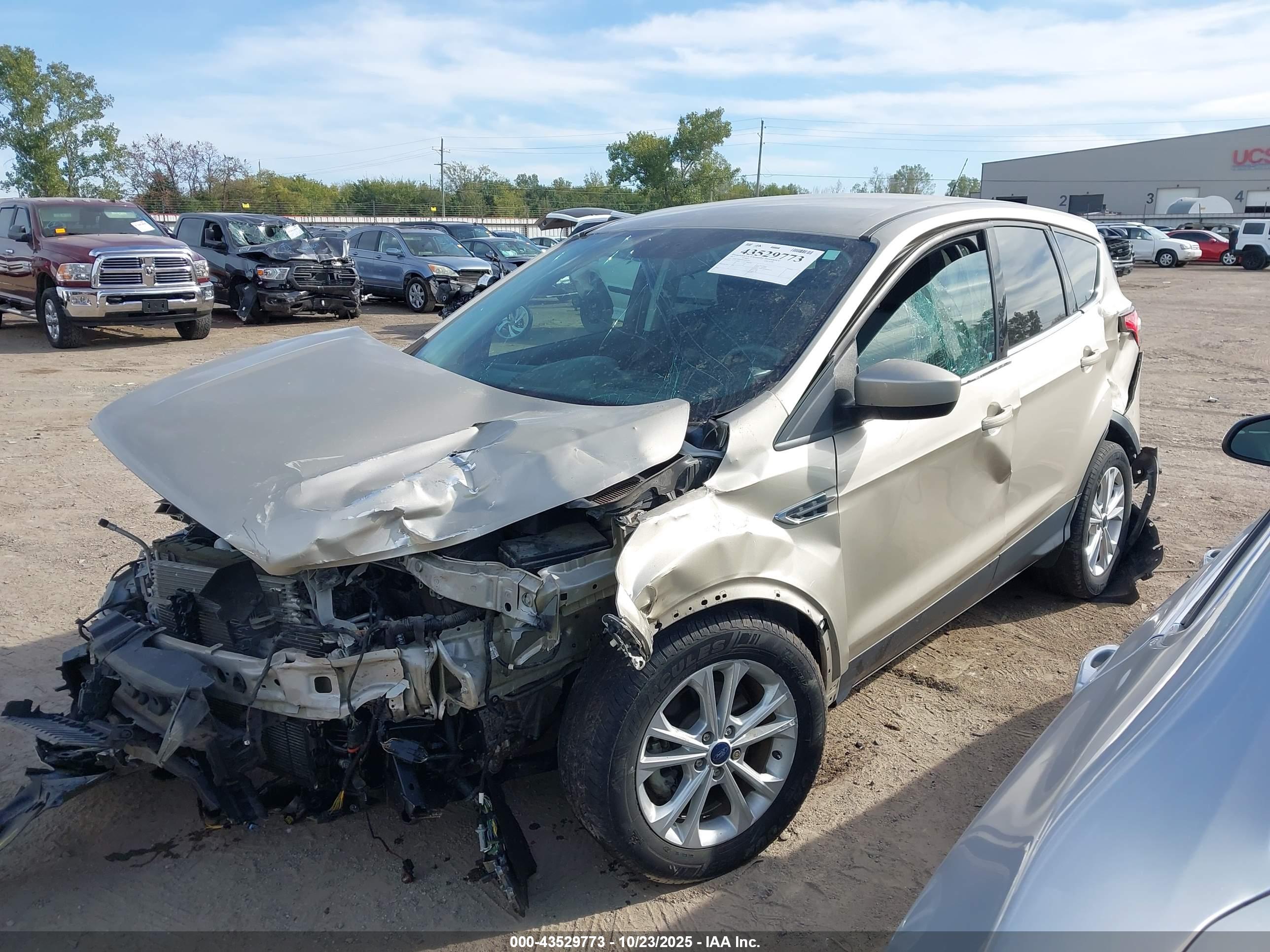 FORD ESCAPE image 2