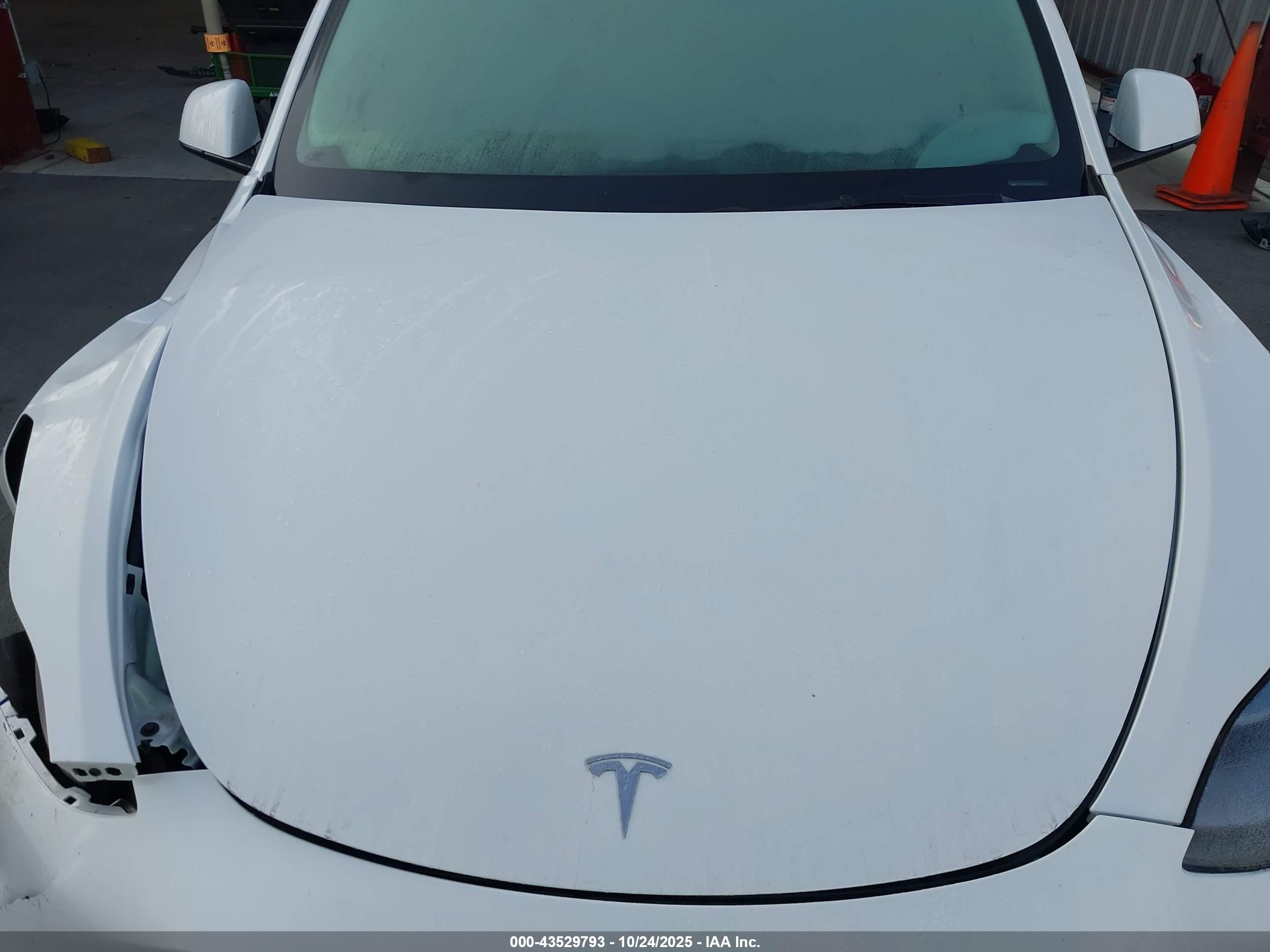 TESLA MODEL image 10