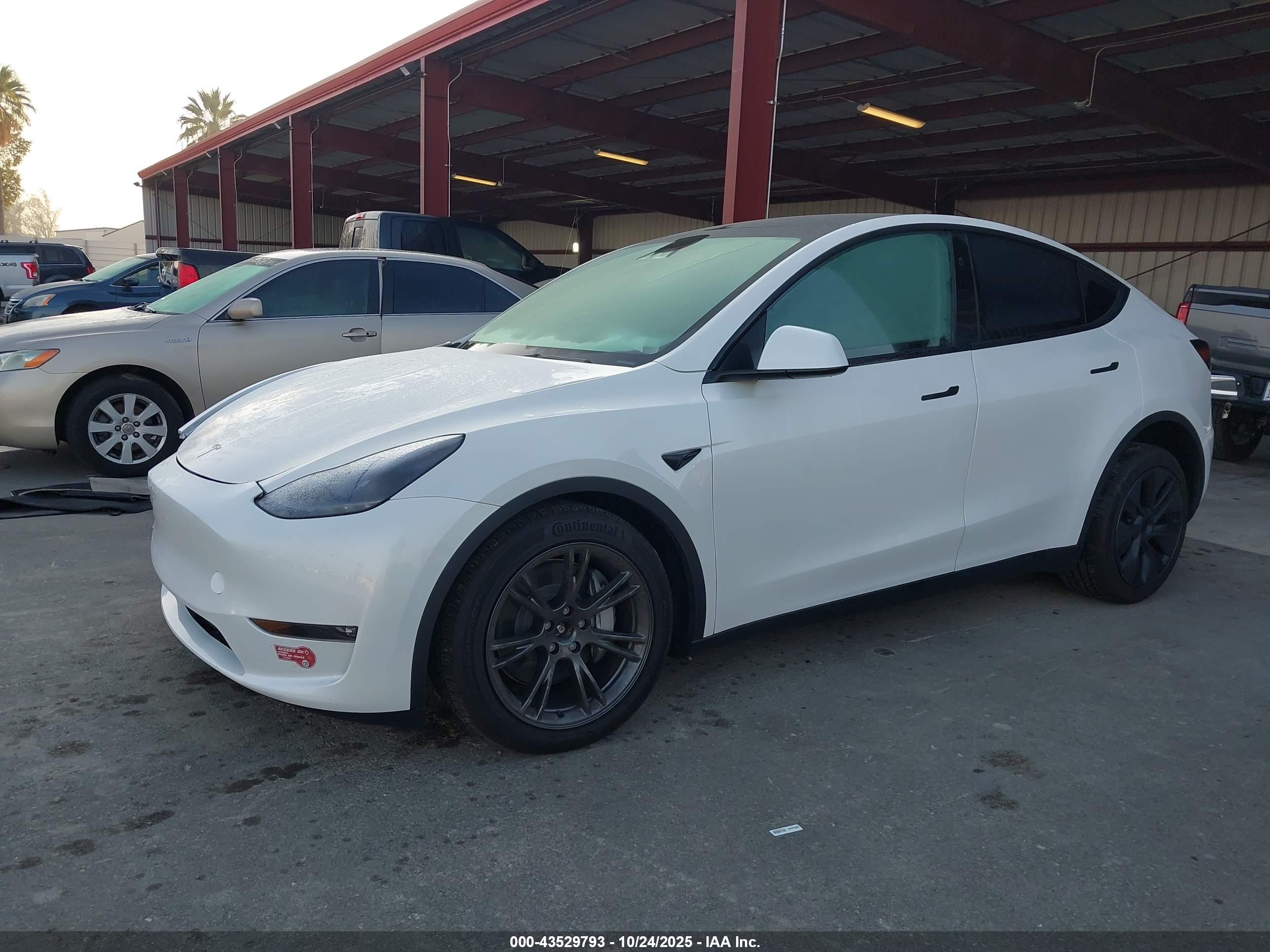 TESLA MODEL image 2