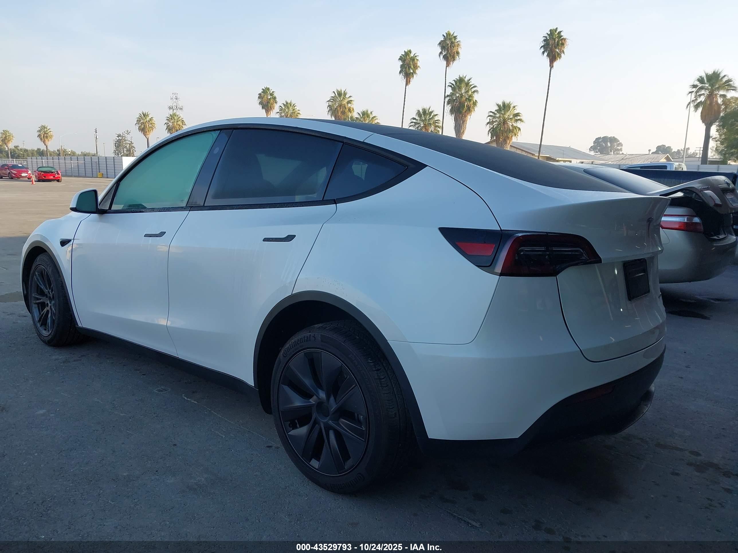 TESLA MODEL image 3