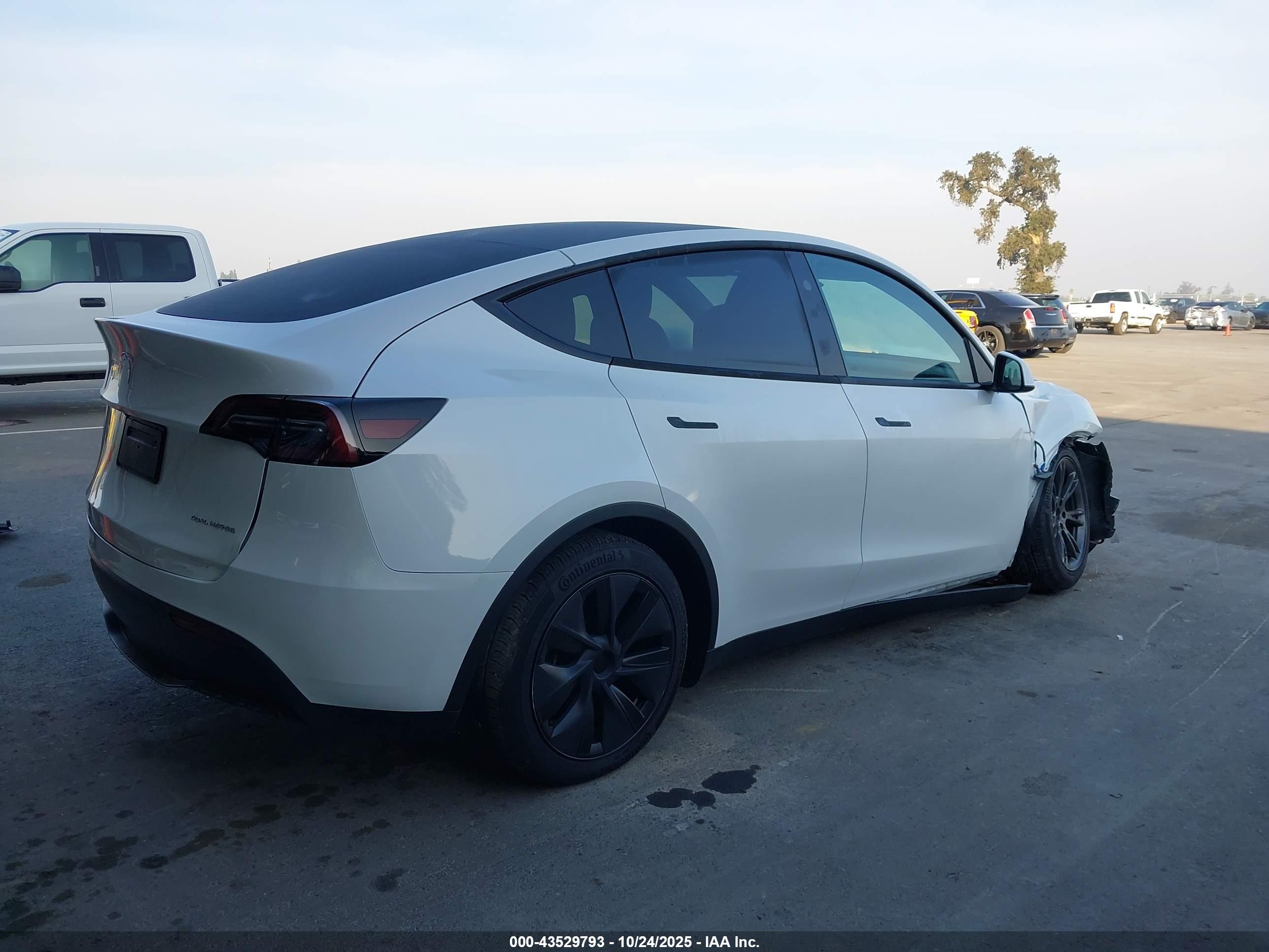 TESLA MODEL image 4