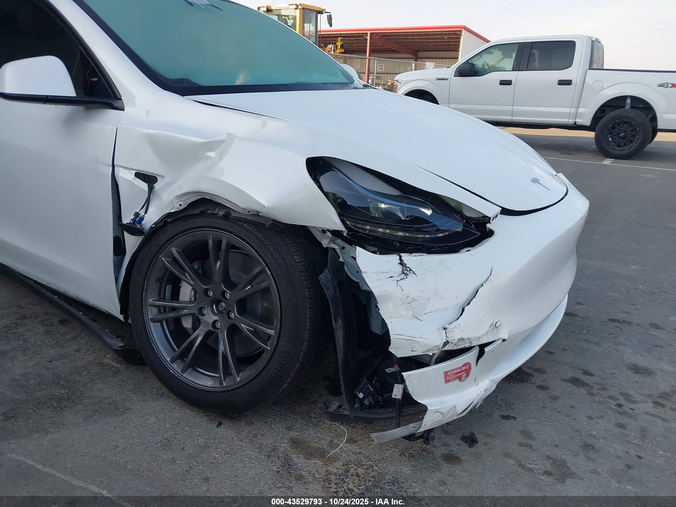 TESLA MODEL image 6