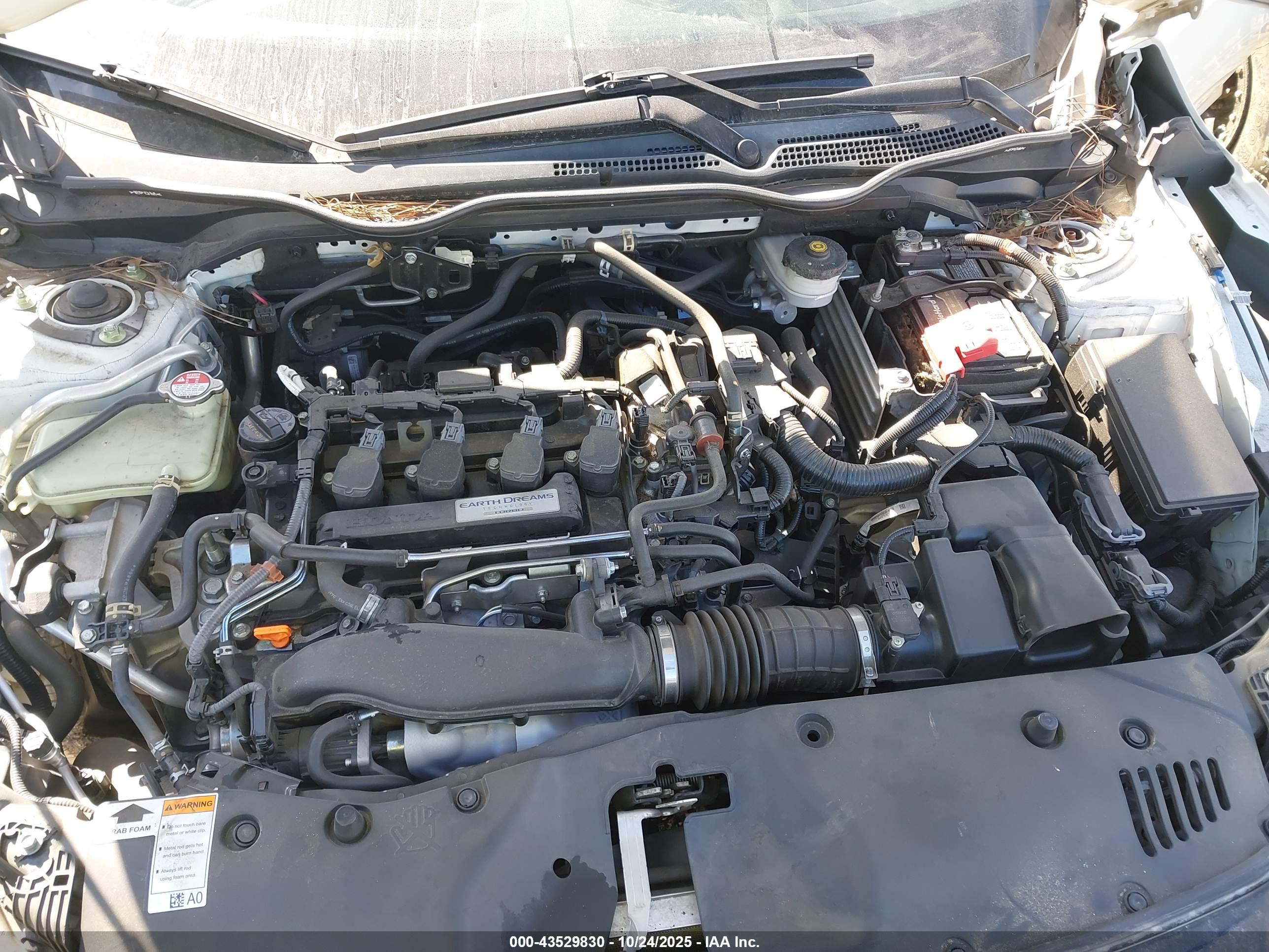 HONDA CIVIC image 10