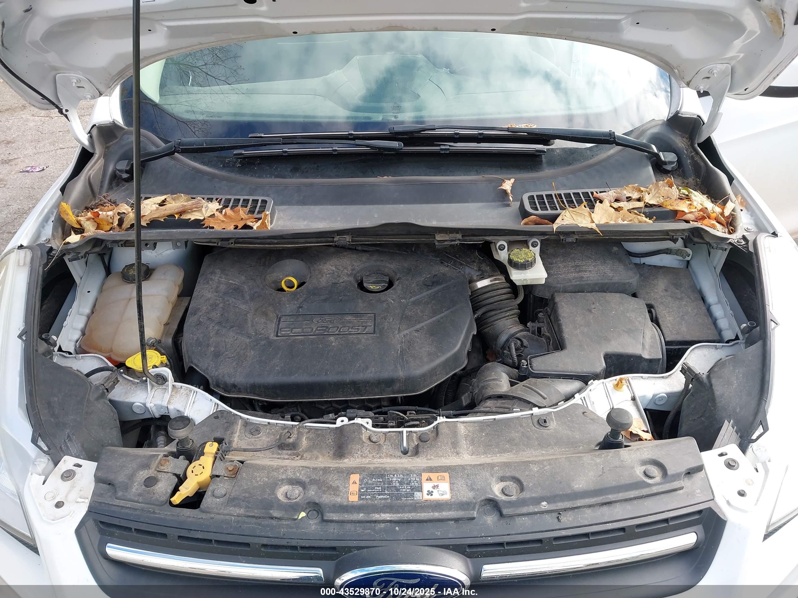 FORD ESCAPE image 10