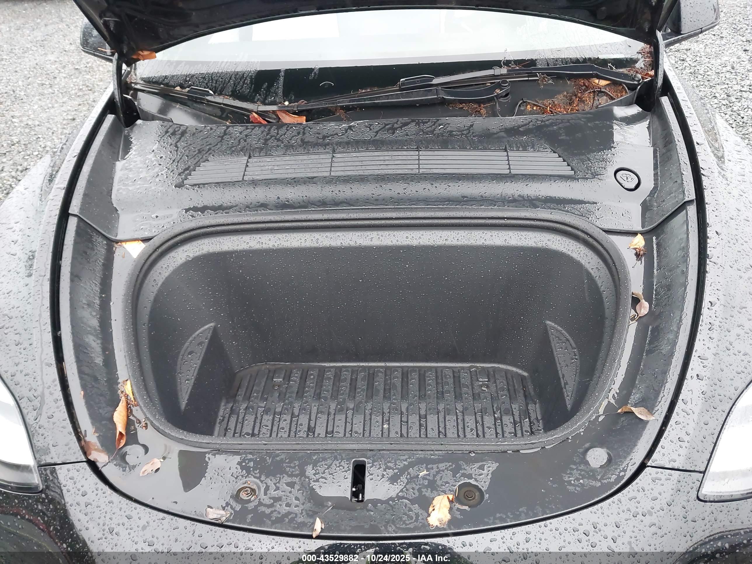 TESLA MODEL image 10