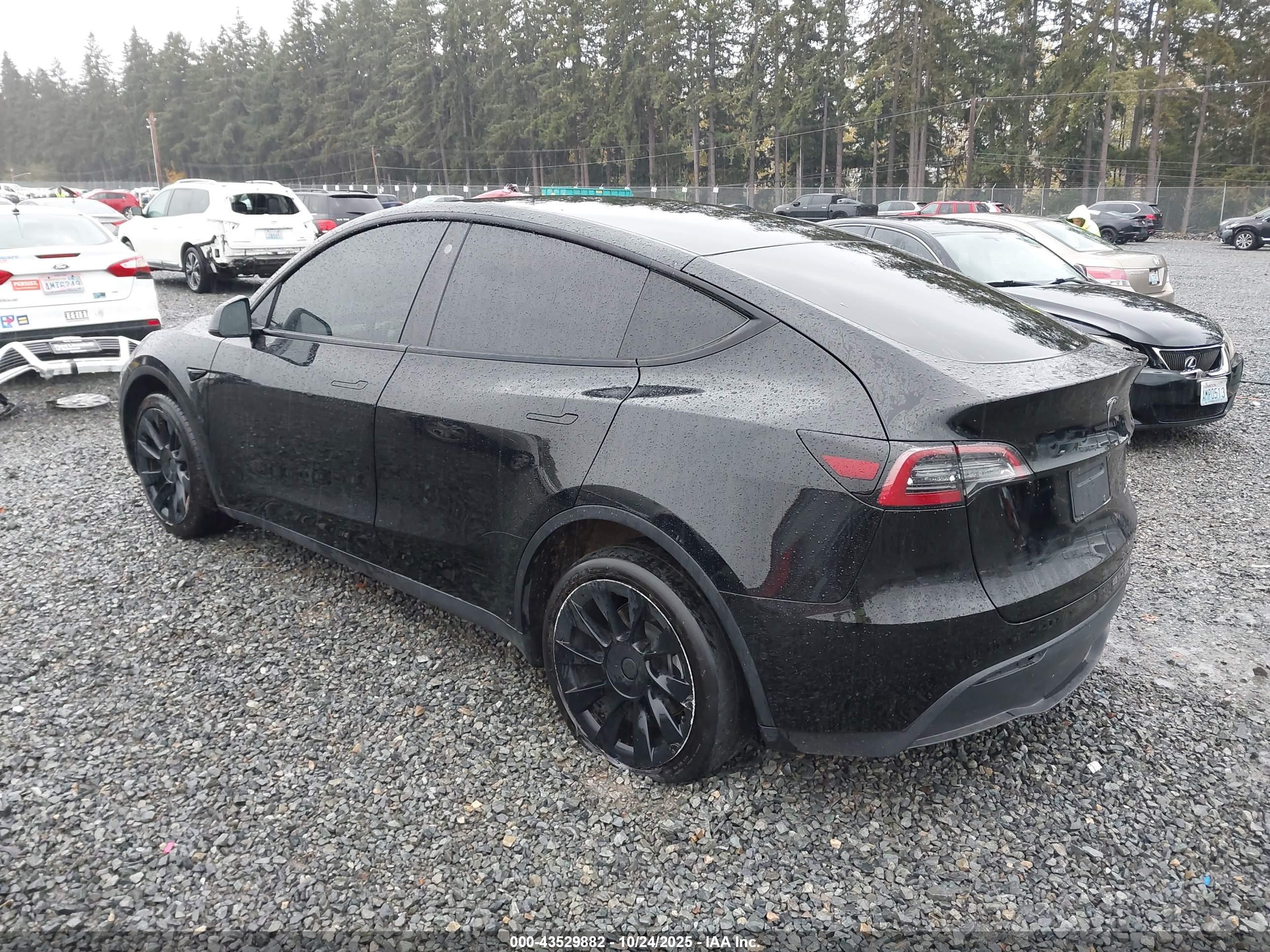 TESLA MODEL image 3