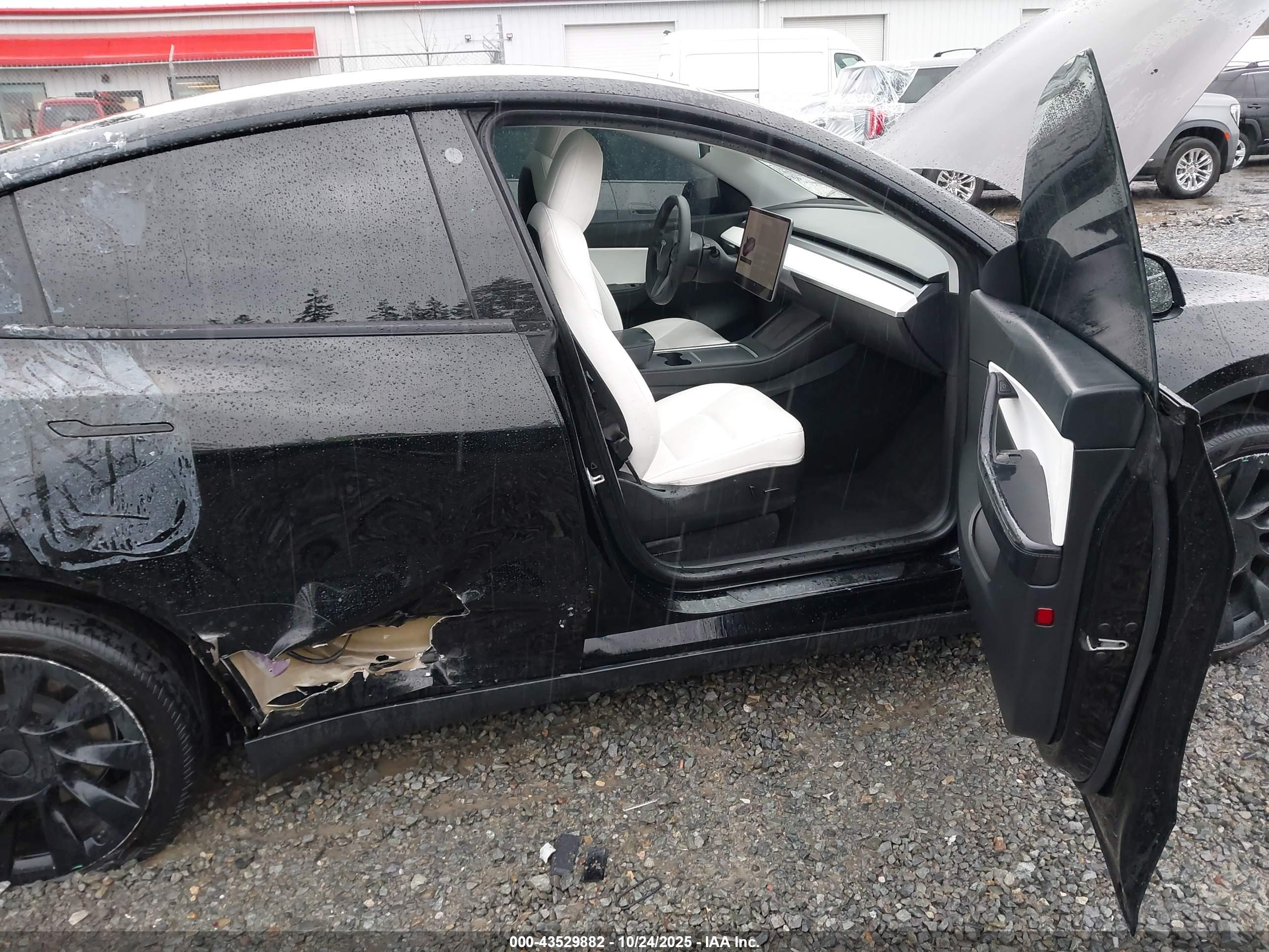 TESLA MODEL image 5