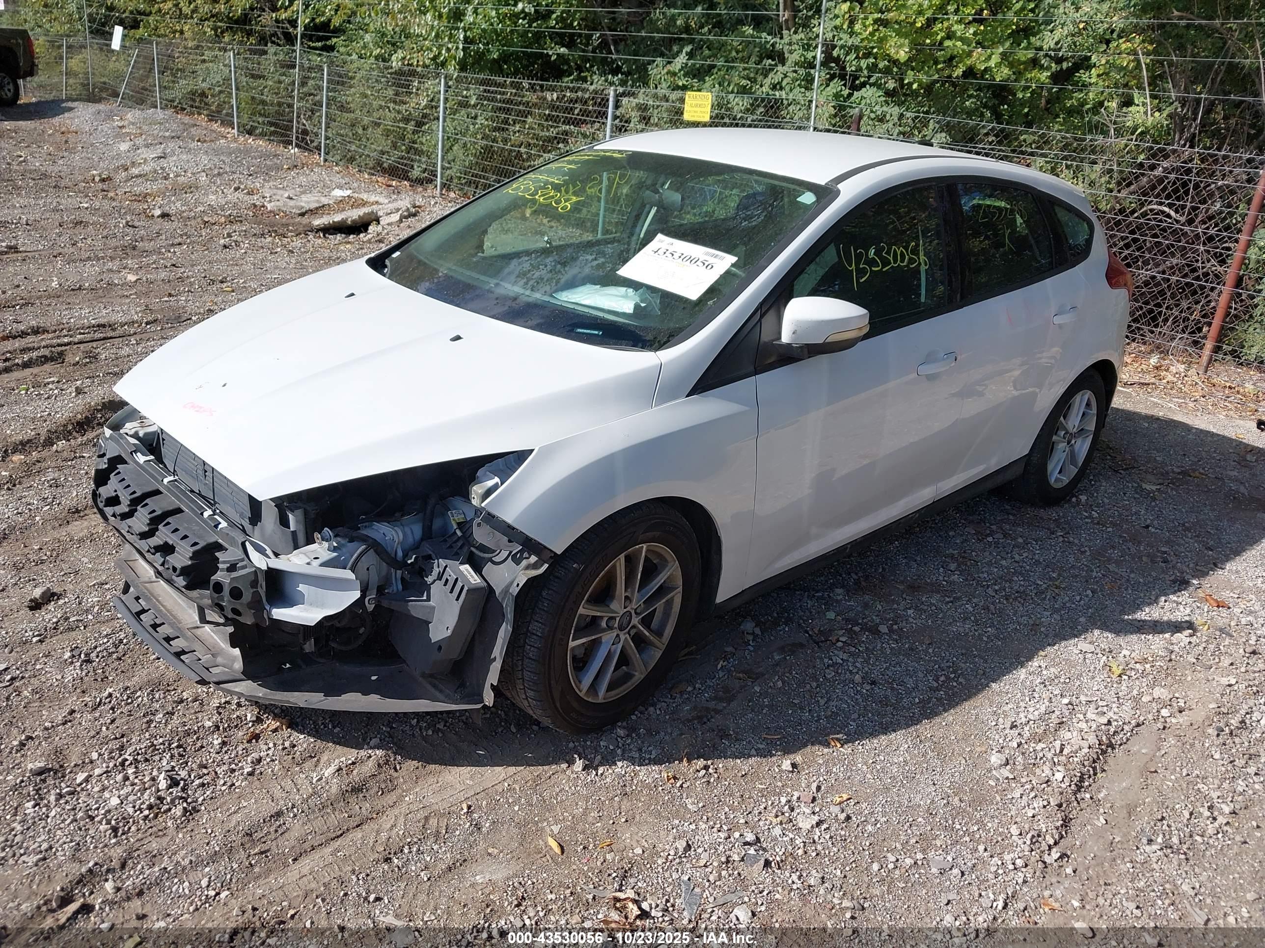 FORD FOCUS image 2