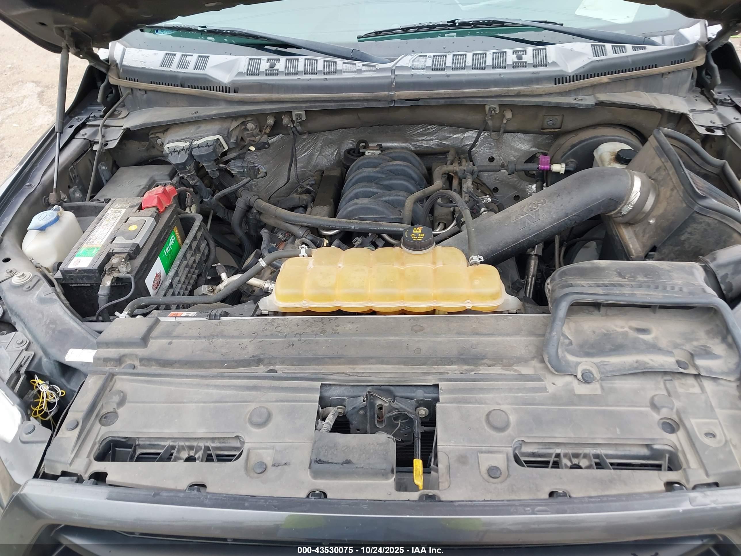 FORD F-150 image 10