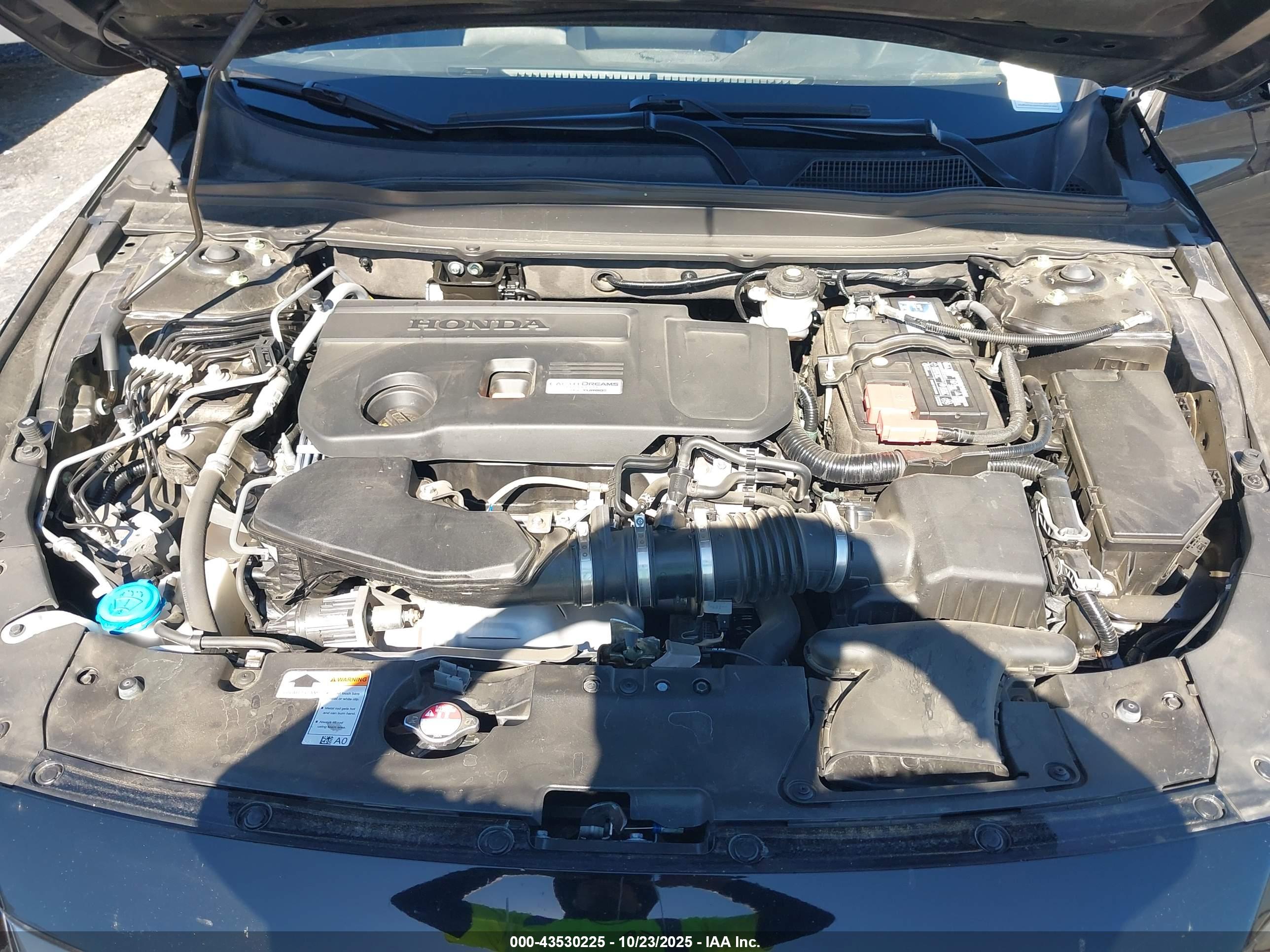HONDA ACCORD image 10