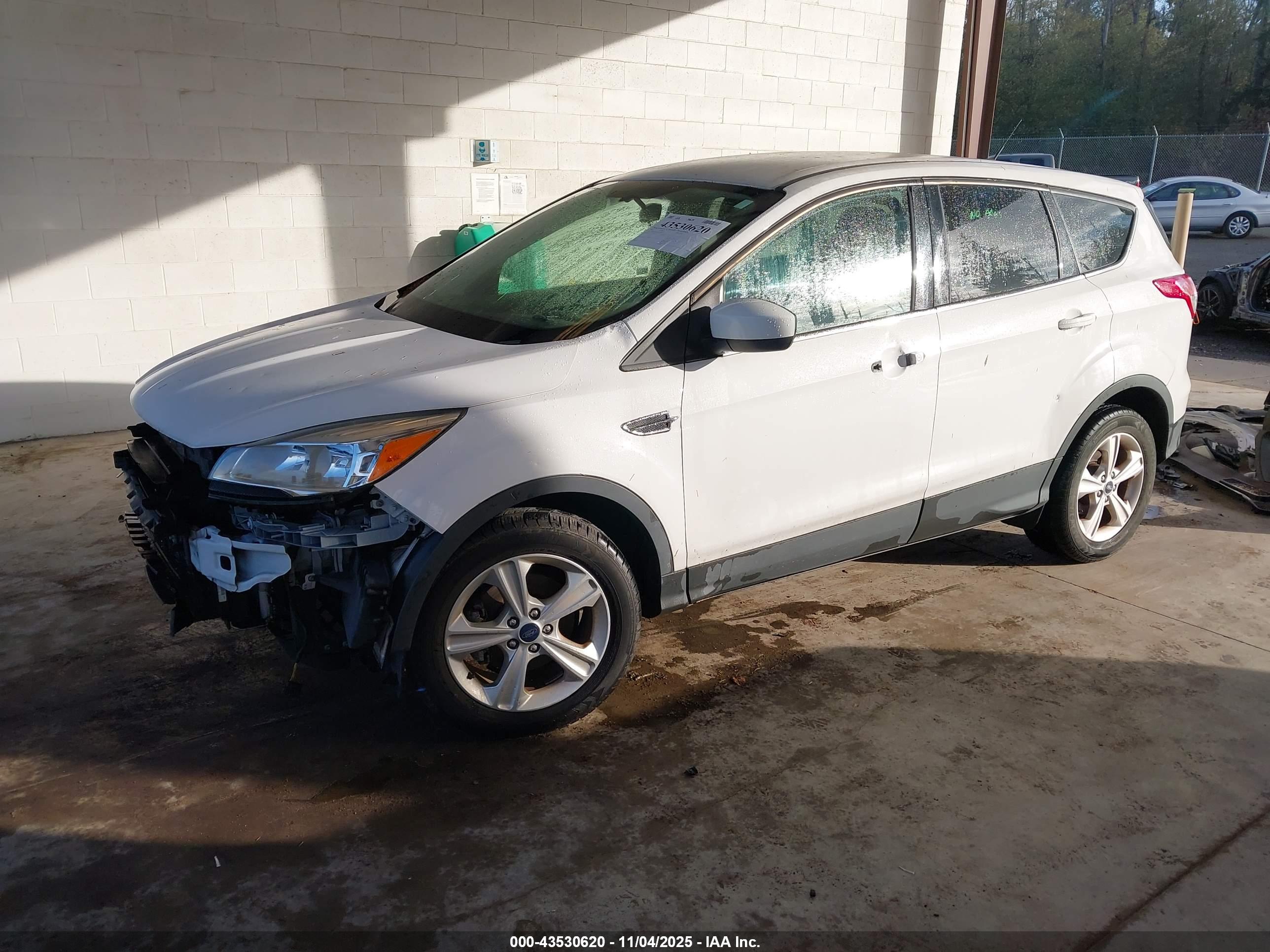 FORD ESCAPE image 2