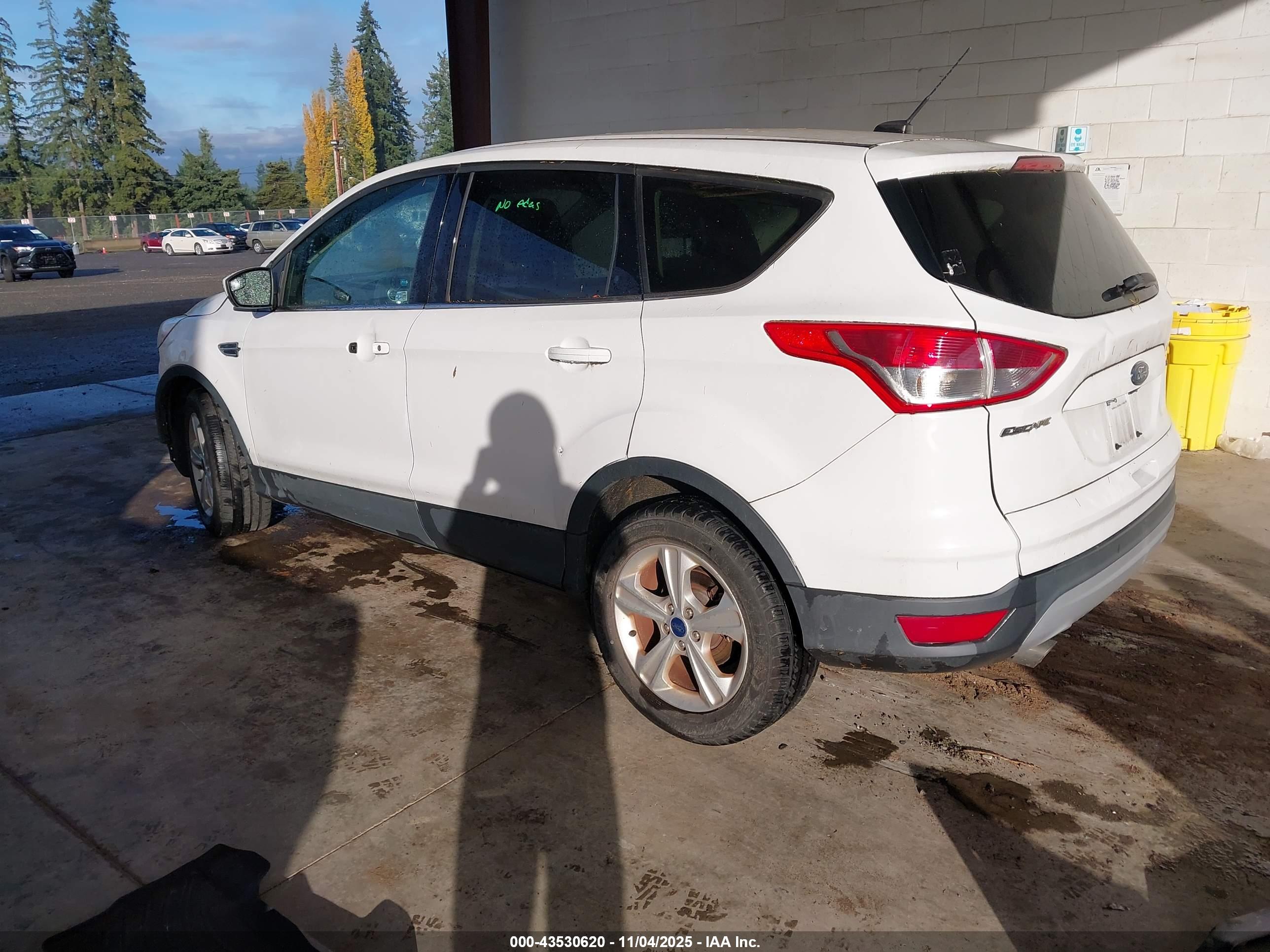 FORD ESCAPE image 3