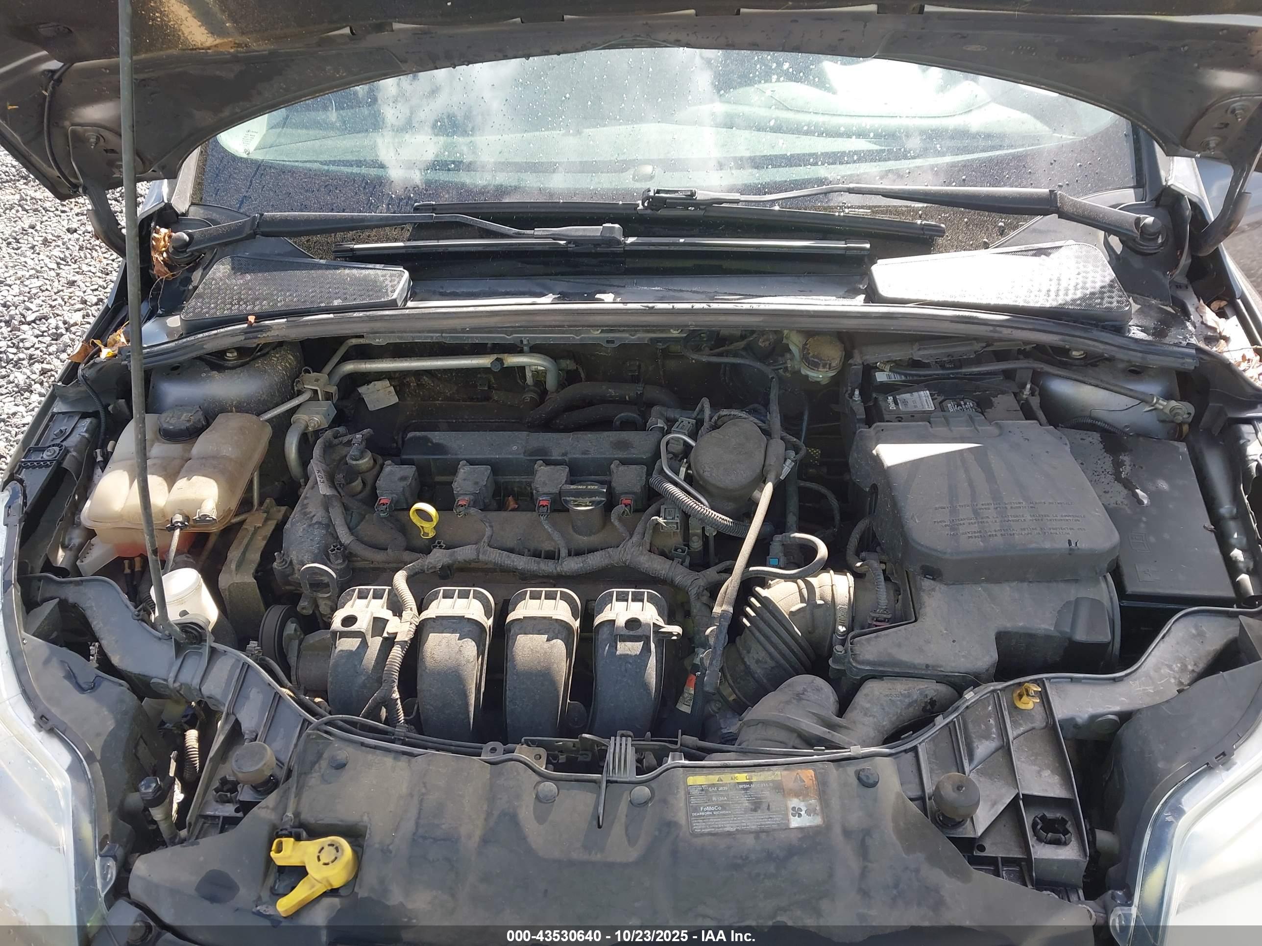 FORD FOCUS image 10