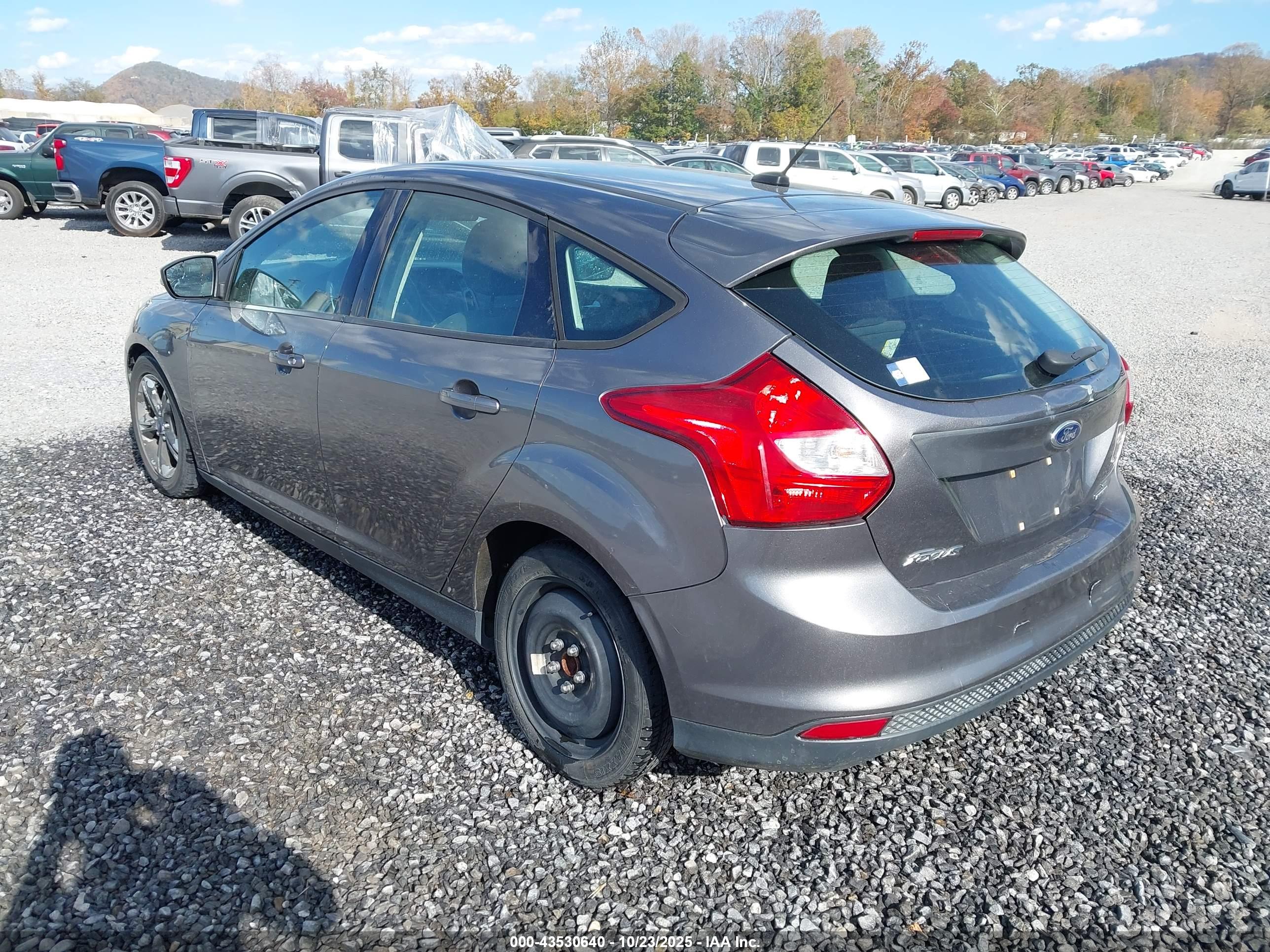 FORD FOCUS image 3