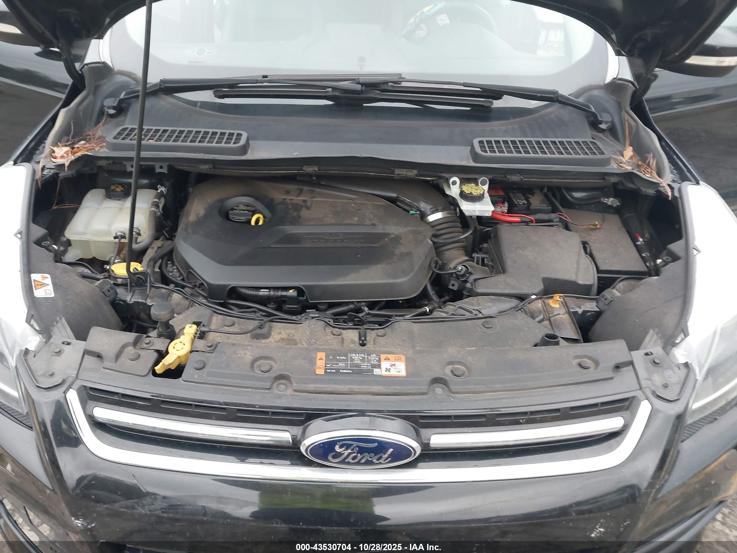 FORD ESCAPE image 10