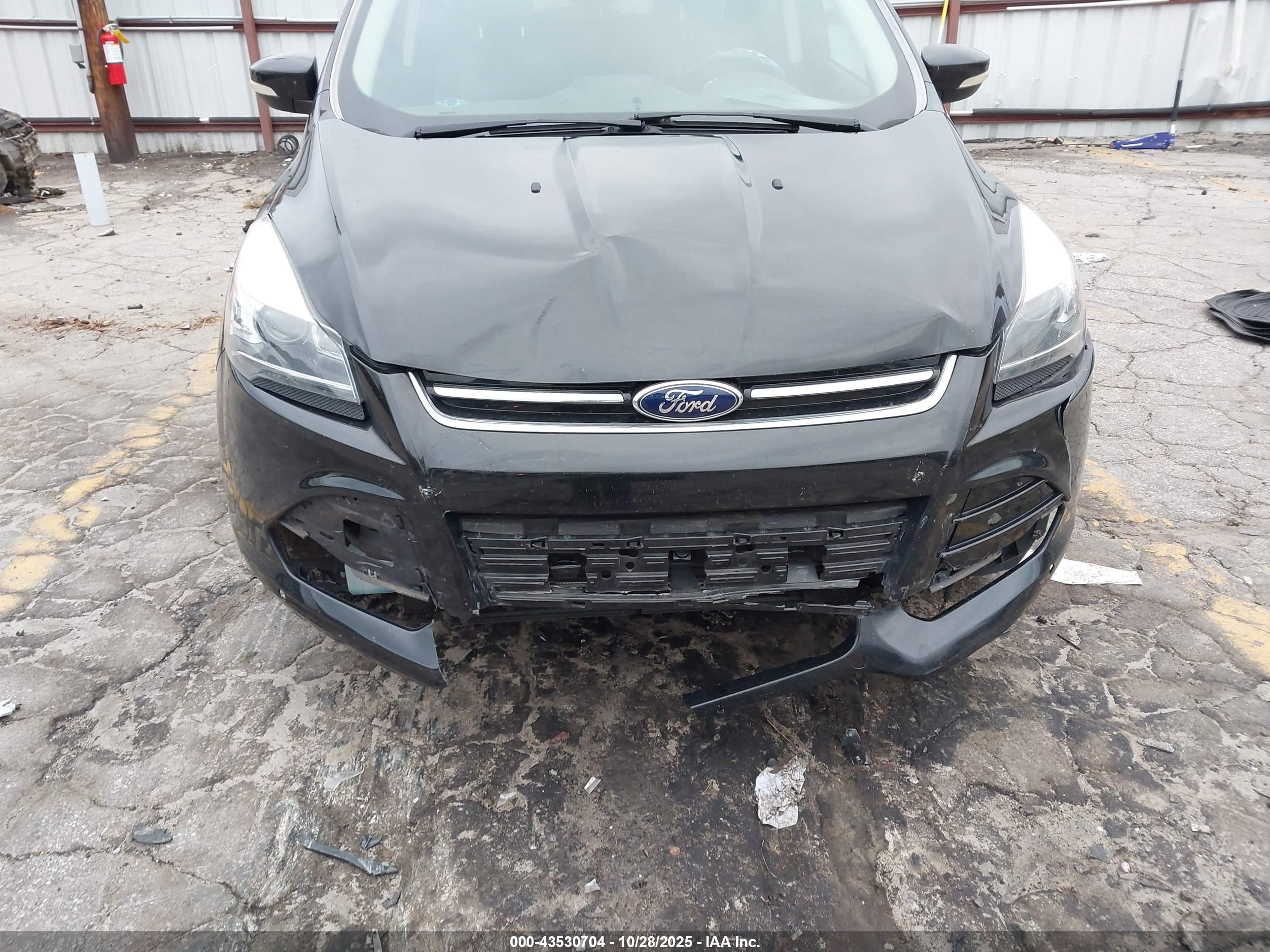FORD ESCAPE image 6