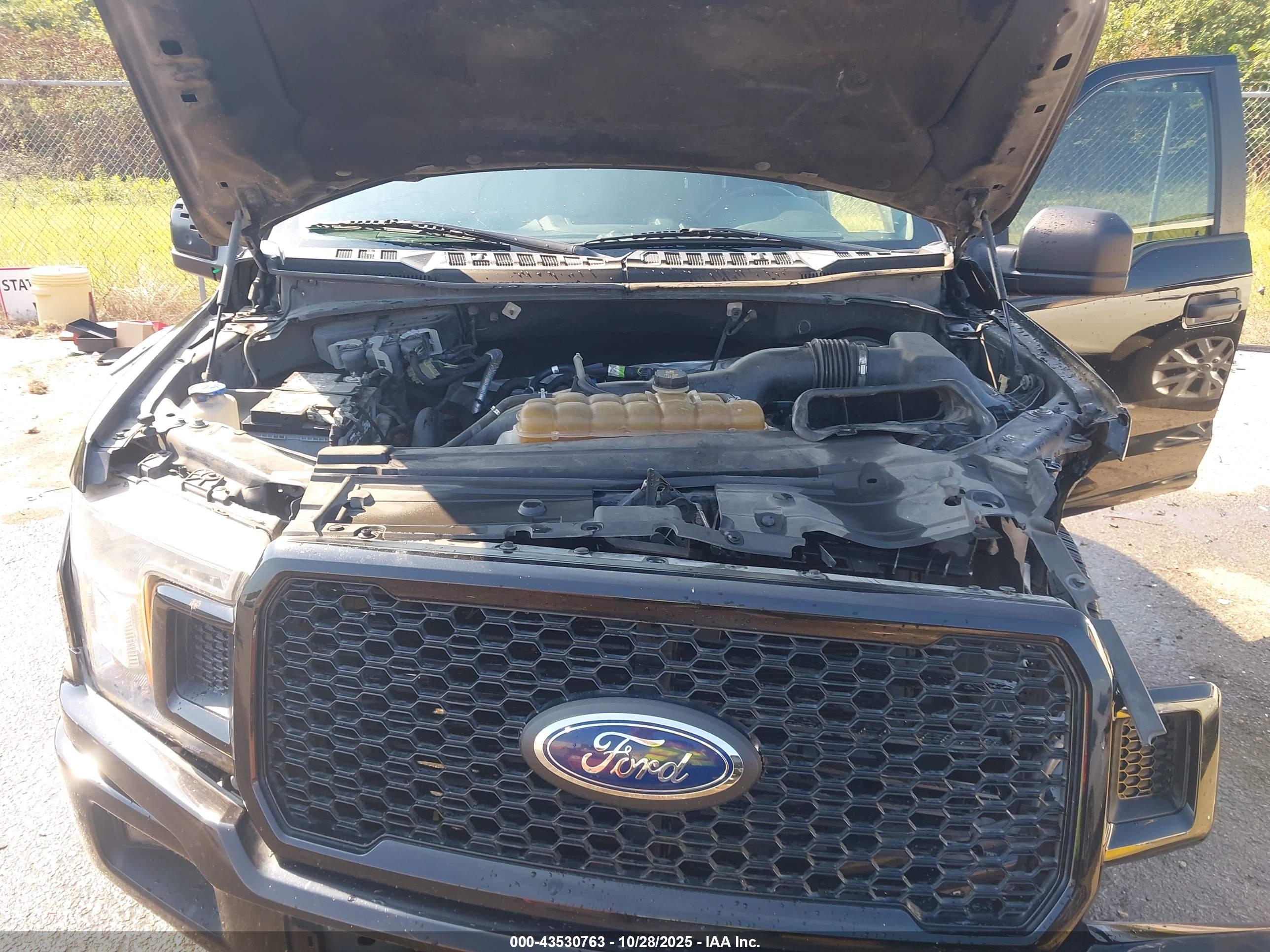 FORD F-150 image 10