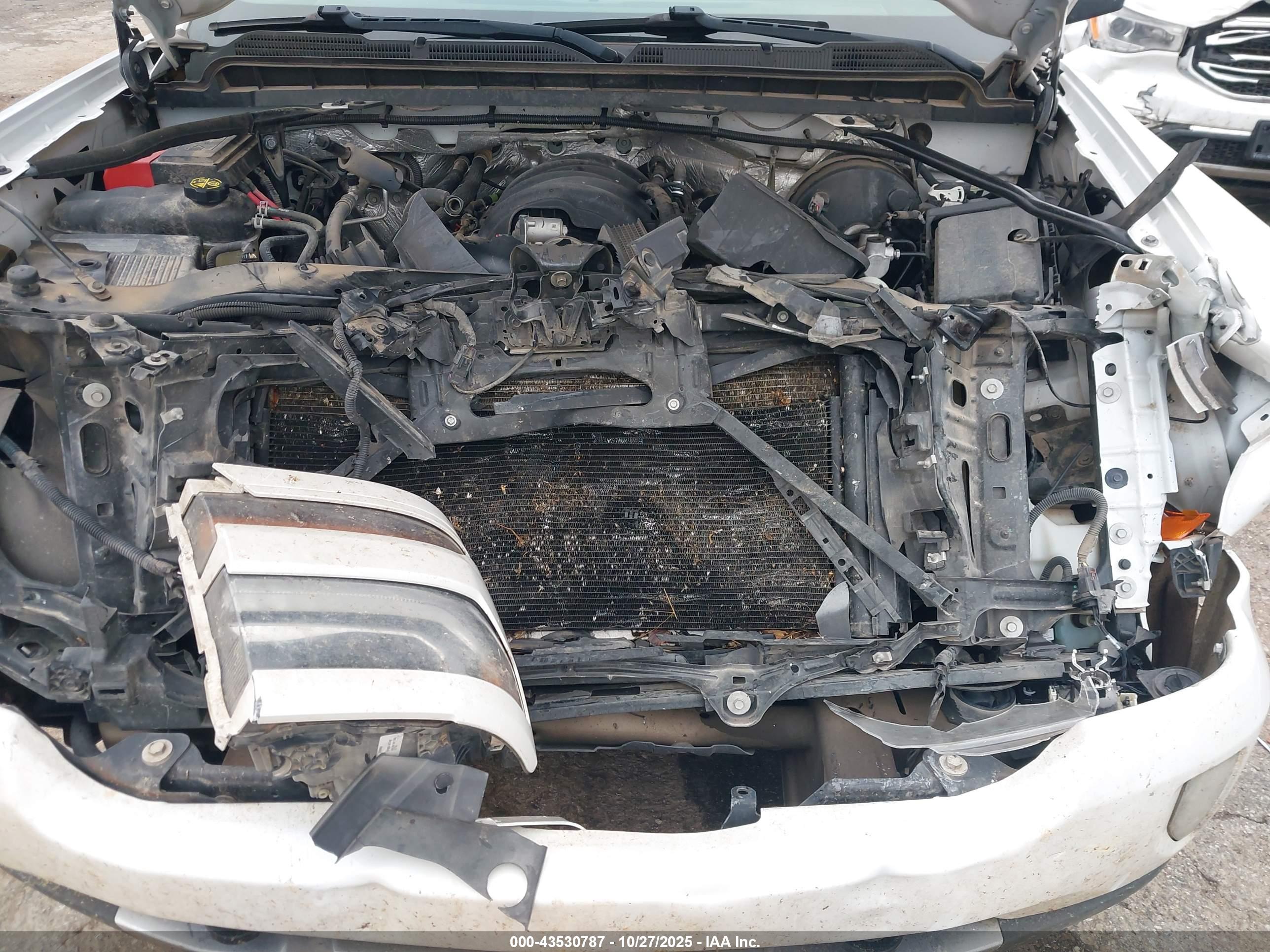 CHEVROLET SILVERADO image 10