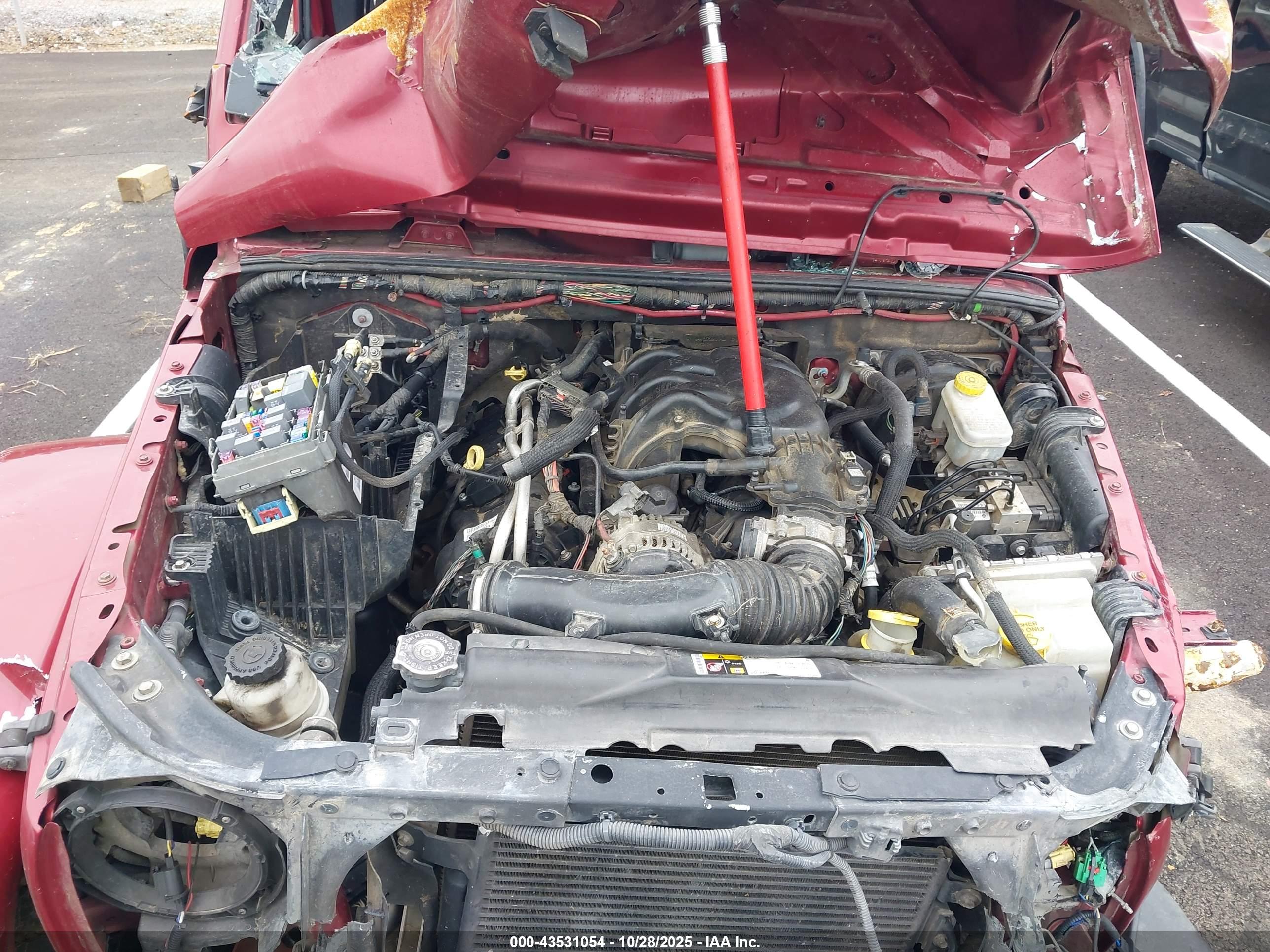 JEEP WRANGLER image 10