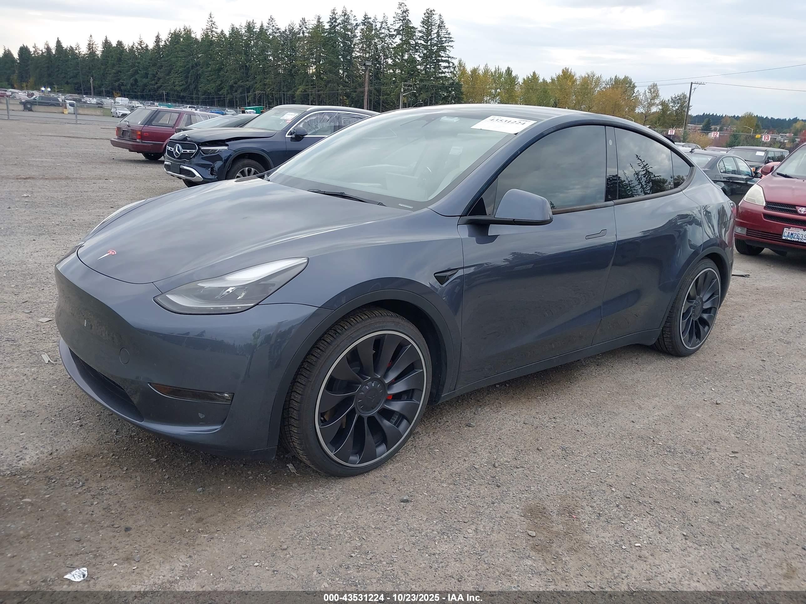 TESLA MODEL image 2