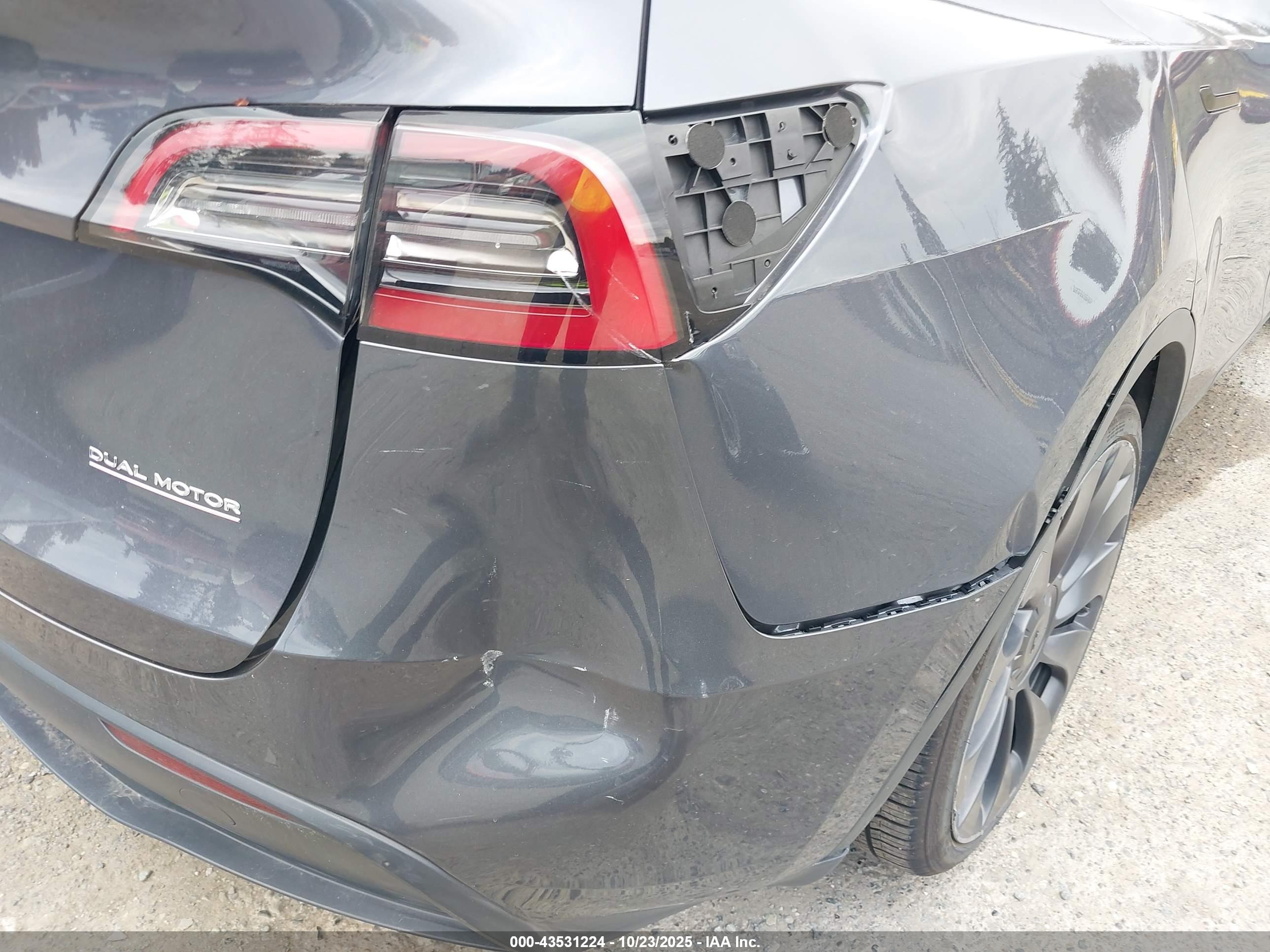 TESLA MODEL image 6