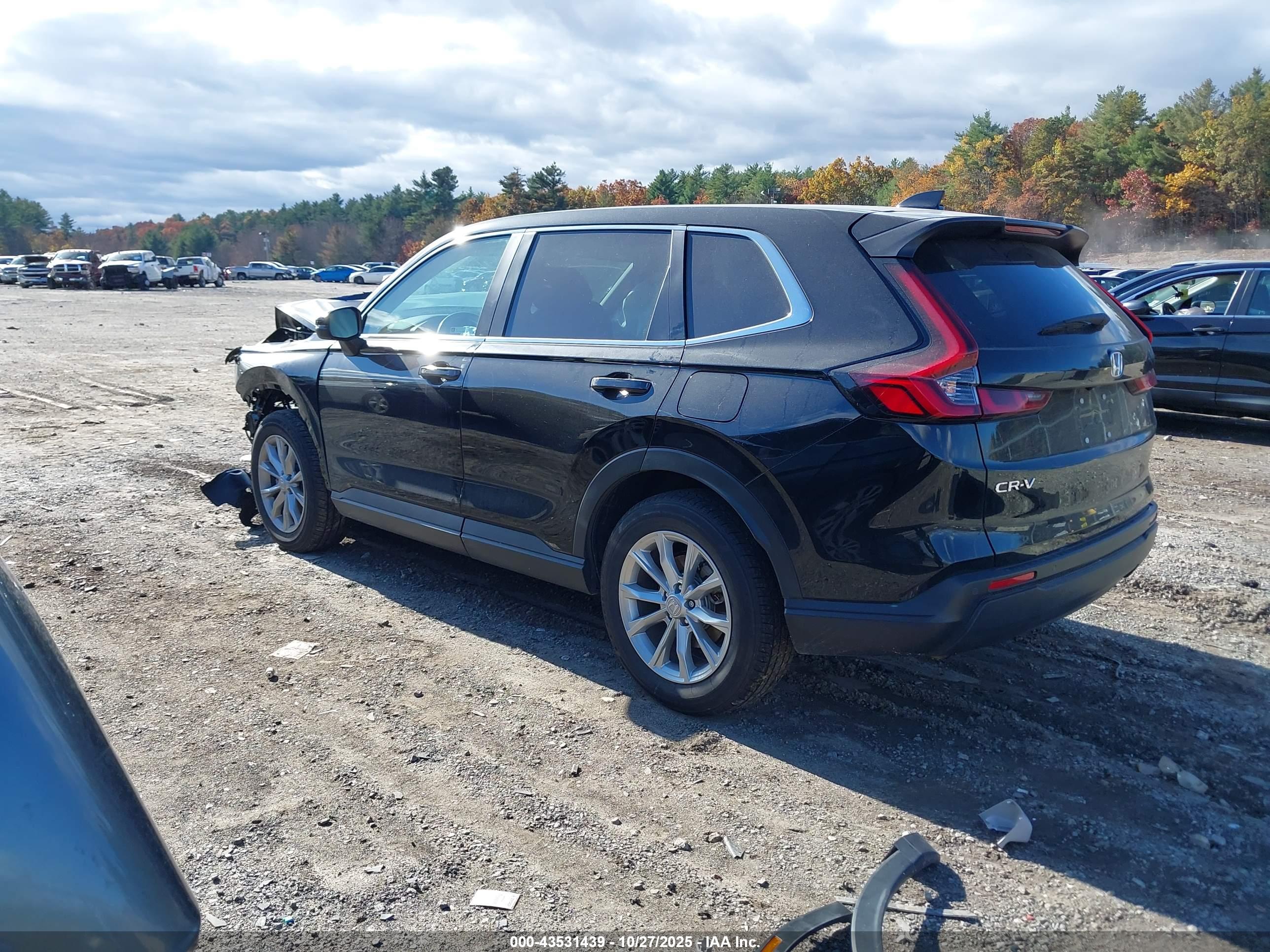HONDA CR-V image 3