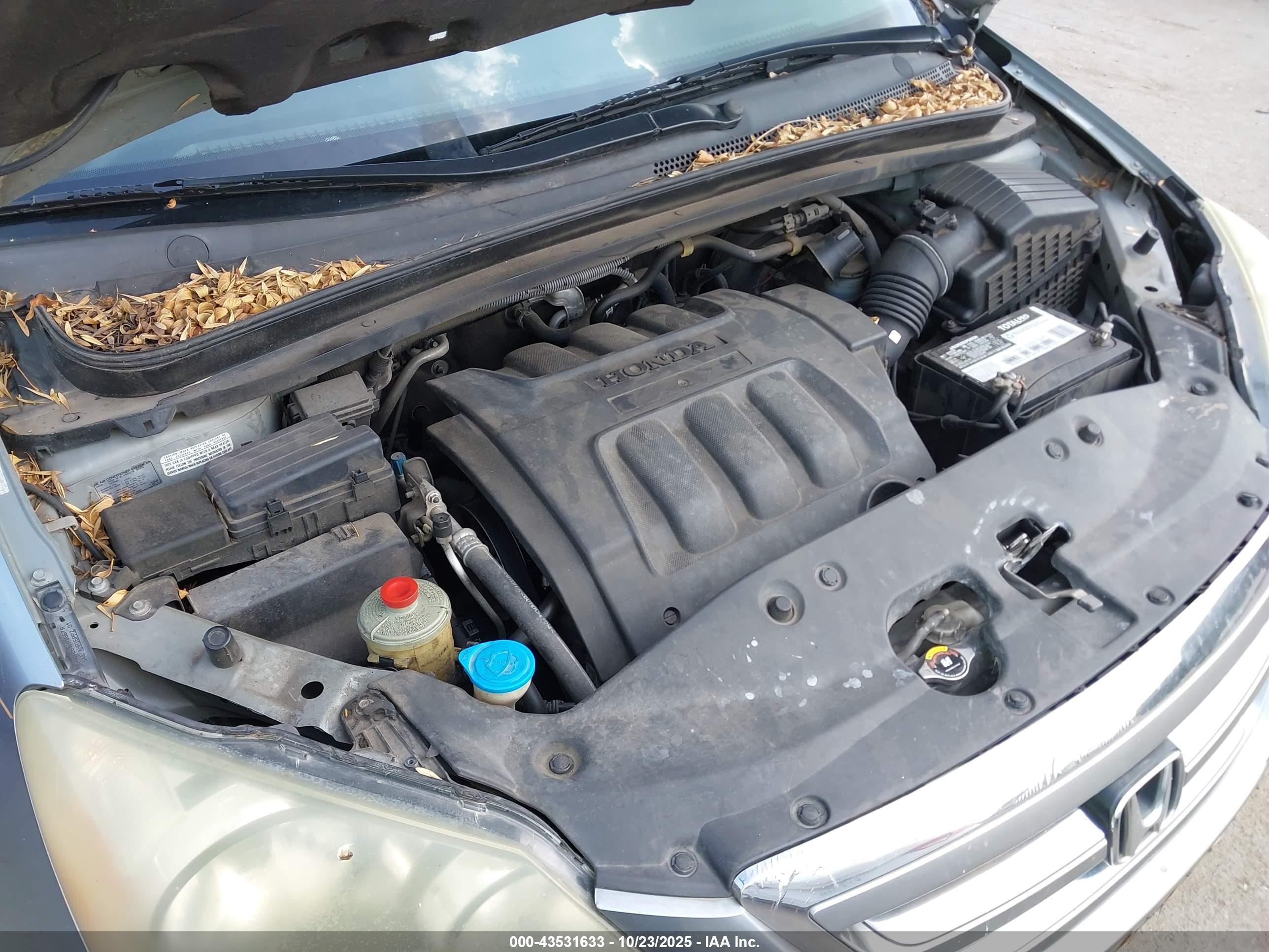 HONDA ODYSSEY image 10