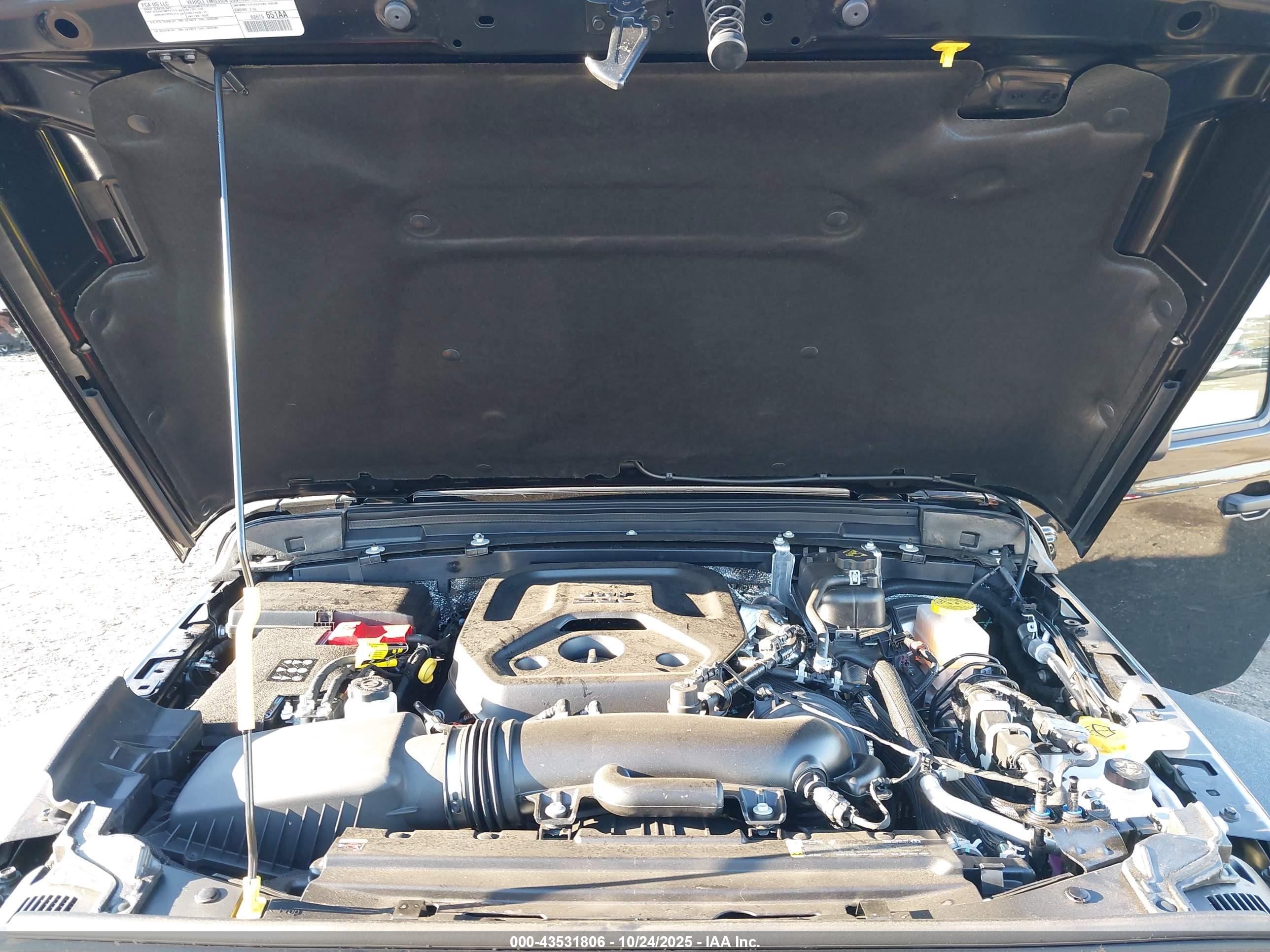 JEEP WRANGLER image 10