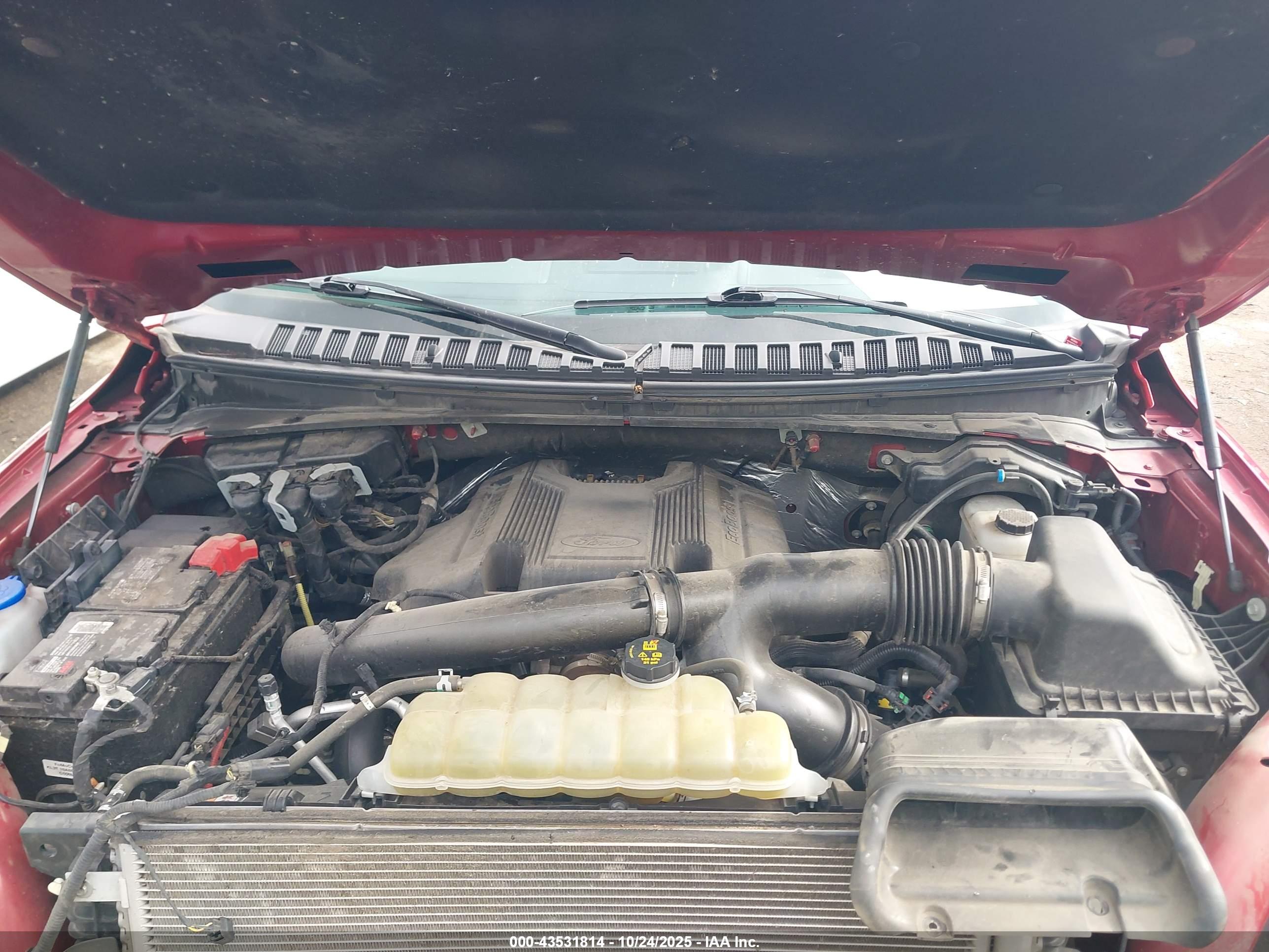 FORD EXPEDITION image 10