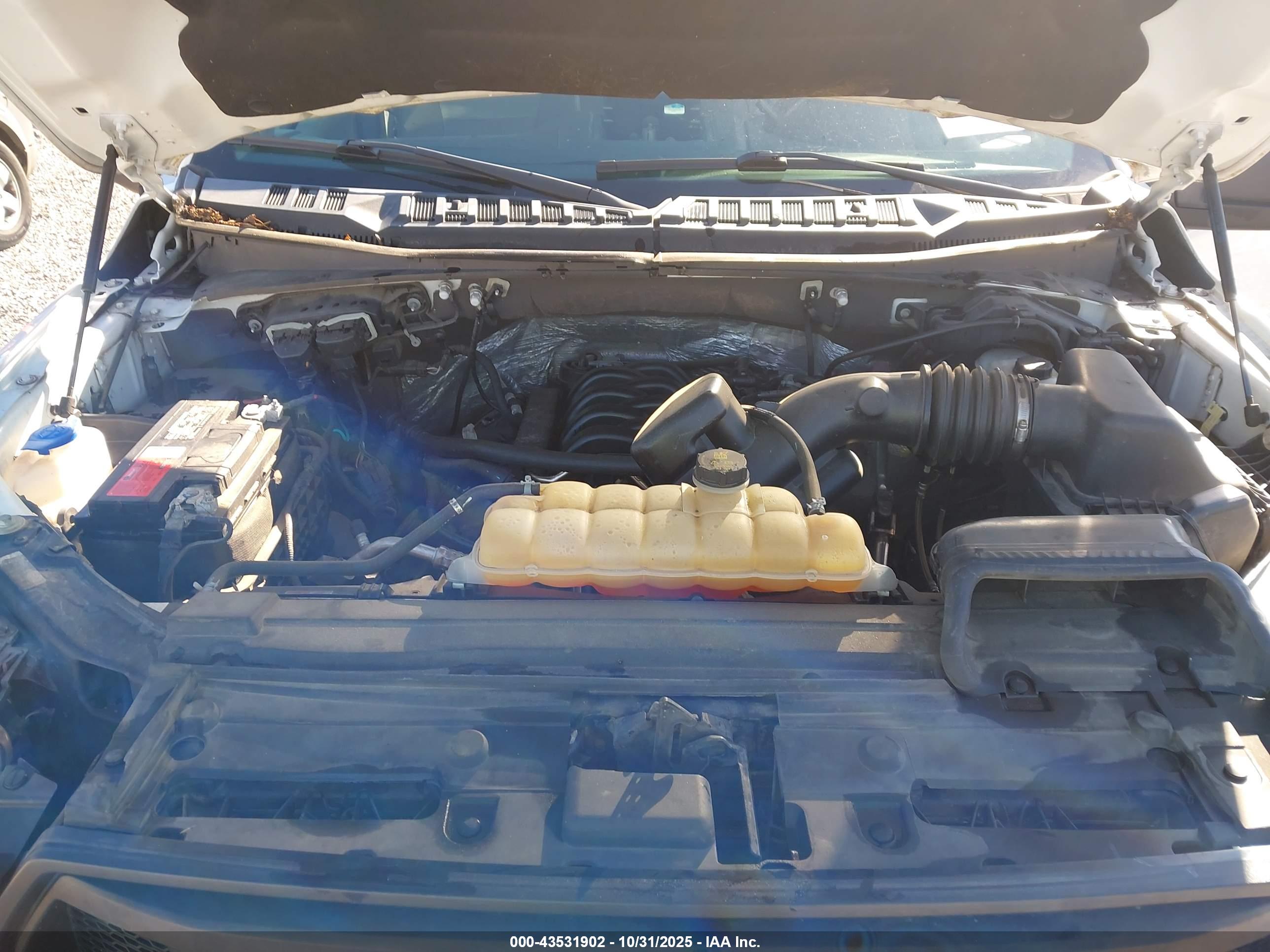FORD F-150 image 10